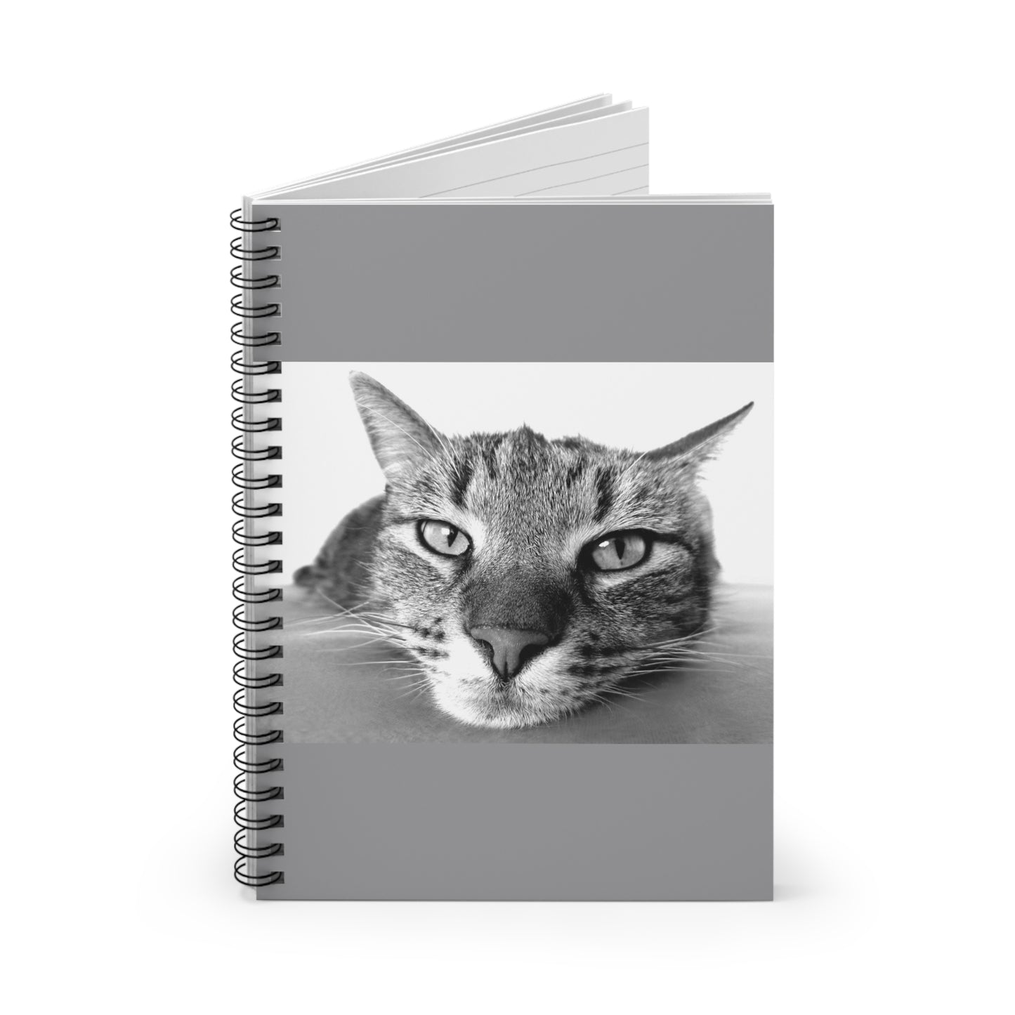 Spiral Notebook - Ruled Line (8927784304959)