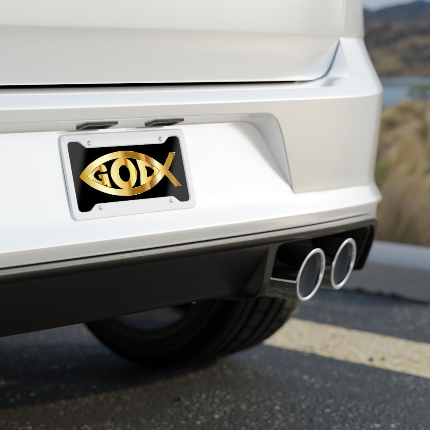 License Plate (9201346543935)