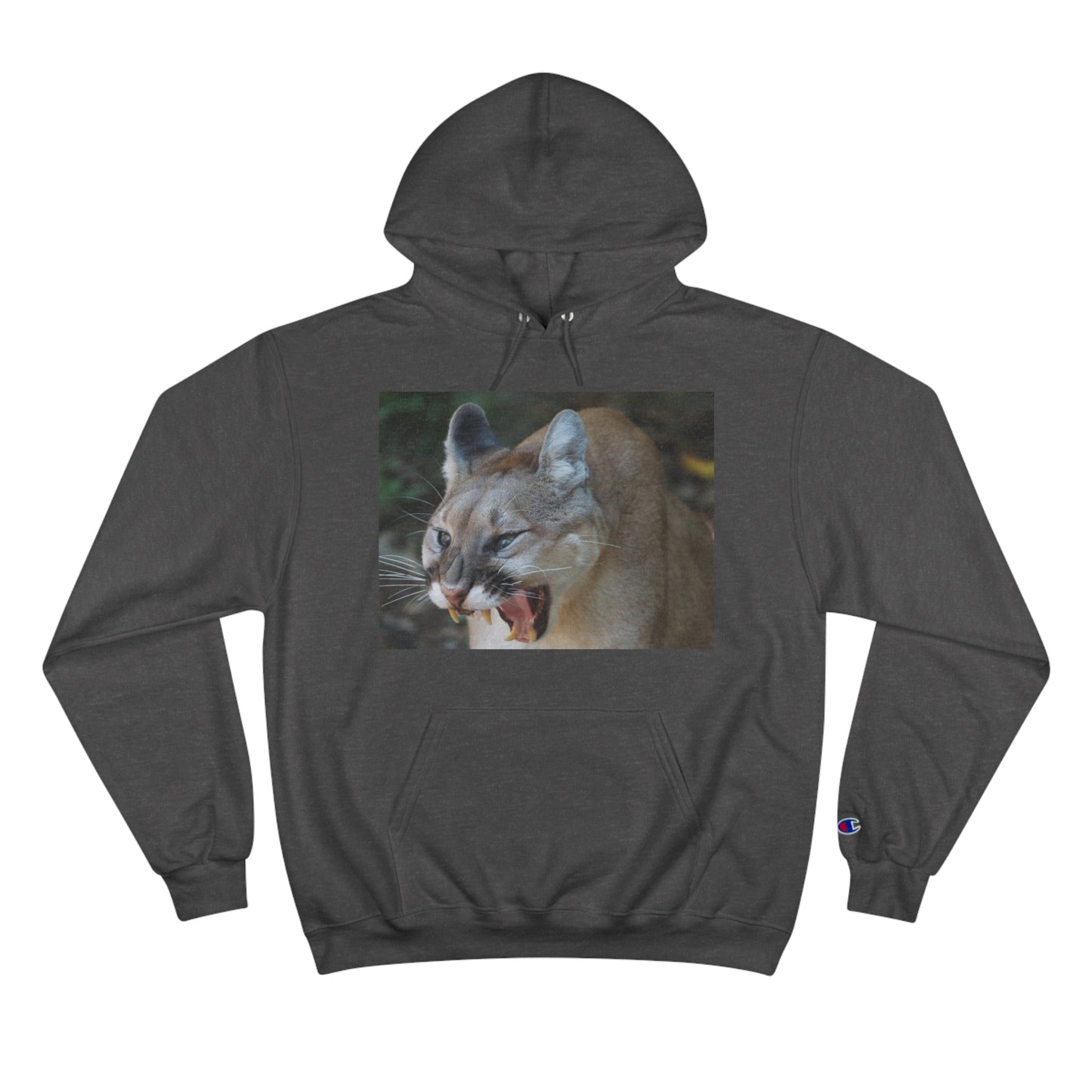 Champion Hoodie (9211149353279)