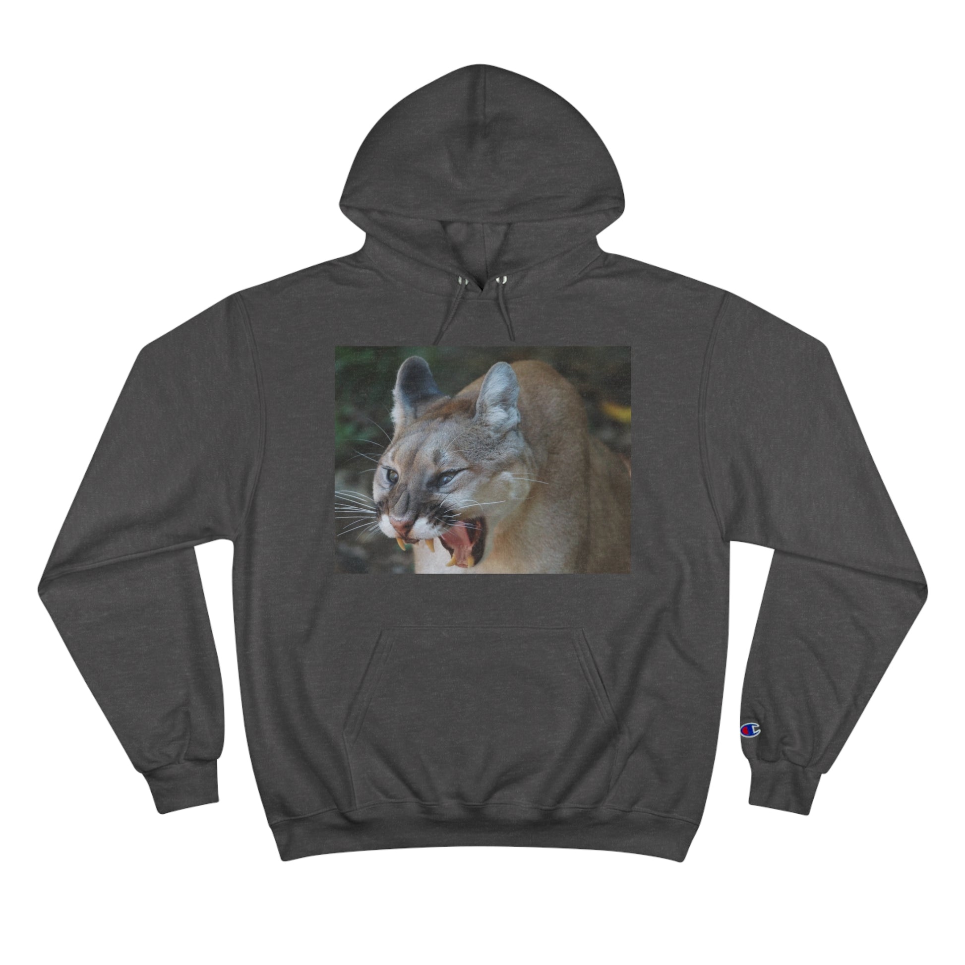 Champion Hoodie (9211149353279)