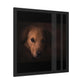 One eye dog    Framed Poster, Horizontal (8543794299199)