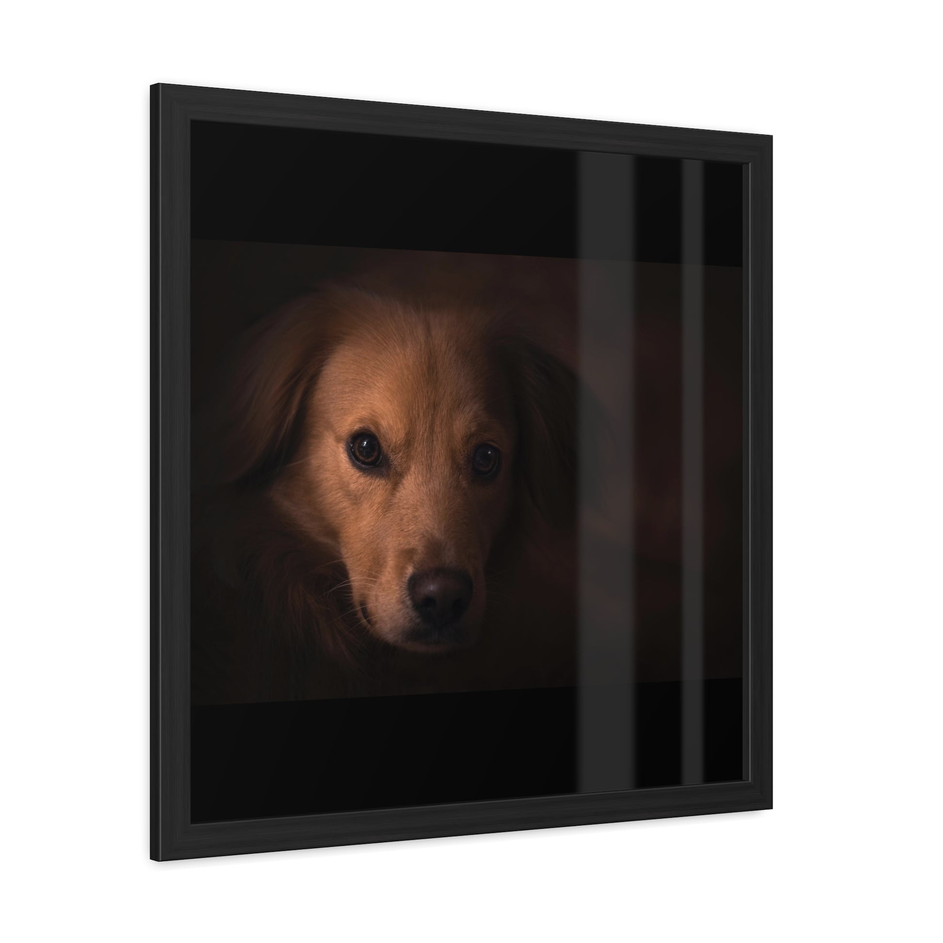 One eye dog    Framed Poster, Horizontal (8543794299199)