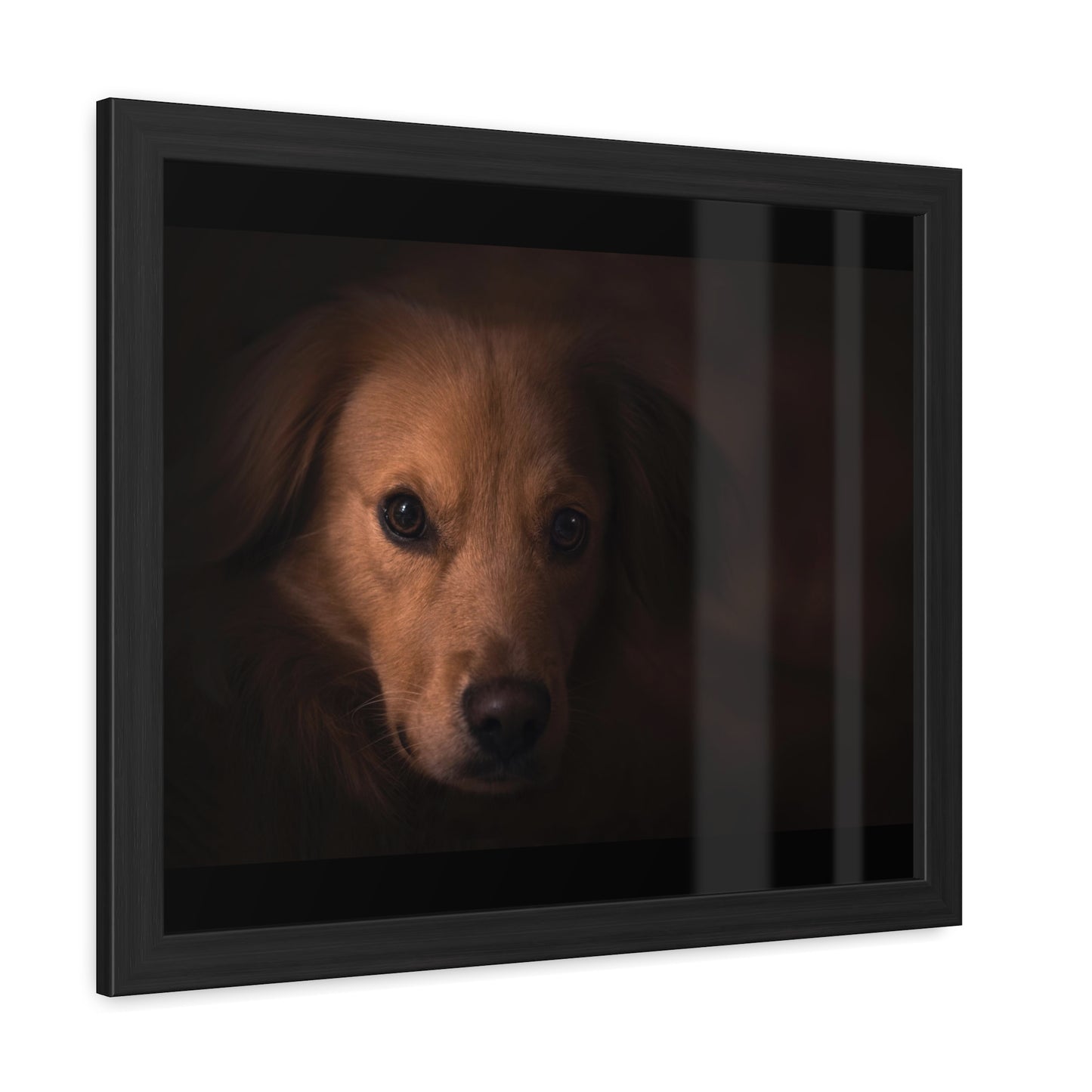 One eye dog    Framed Poster, Horizontal (8543794299199)