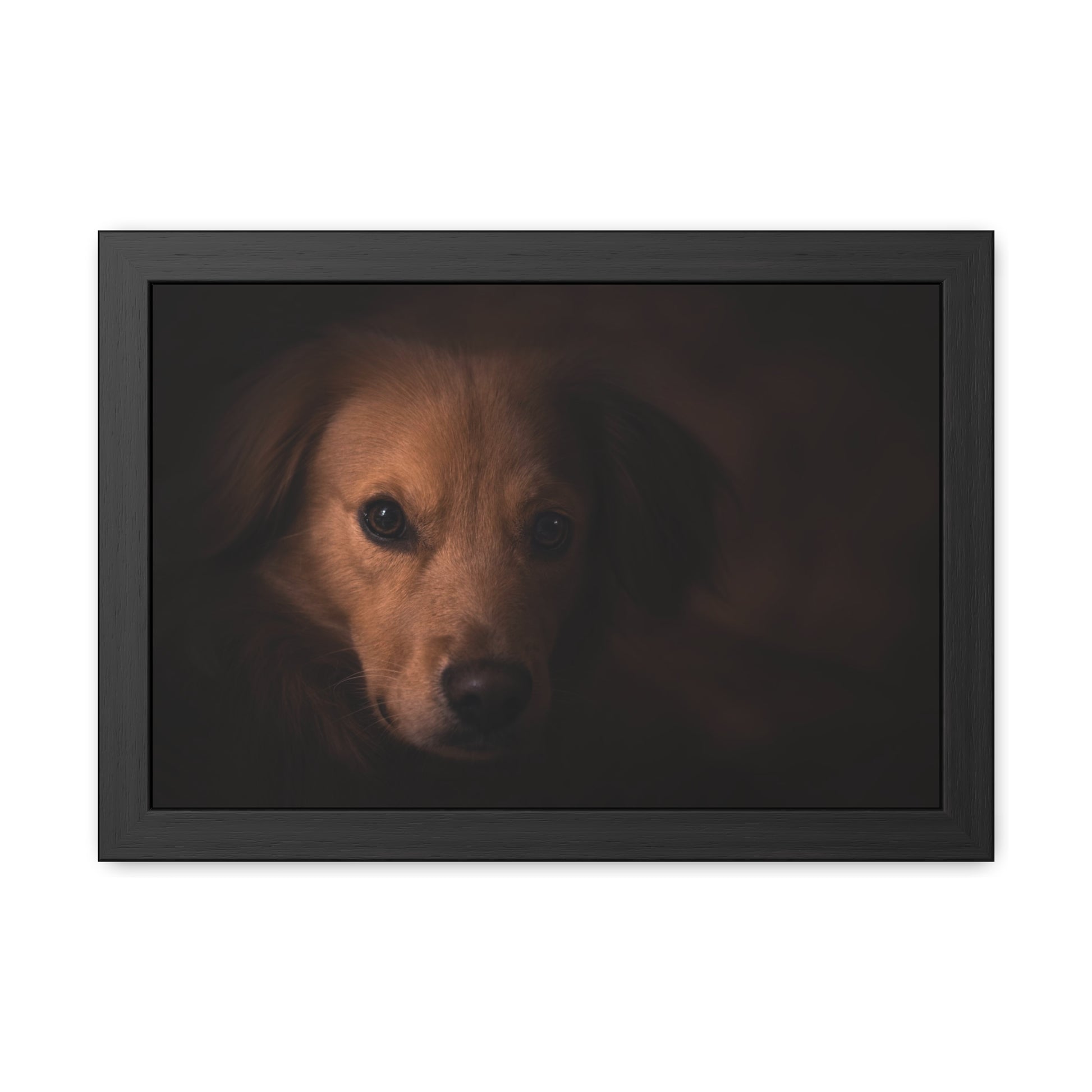 One eye dog    Framed Poster, Horizontal (8543794299199)
