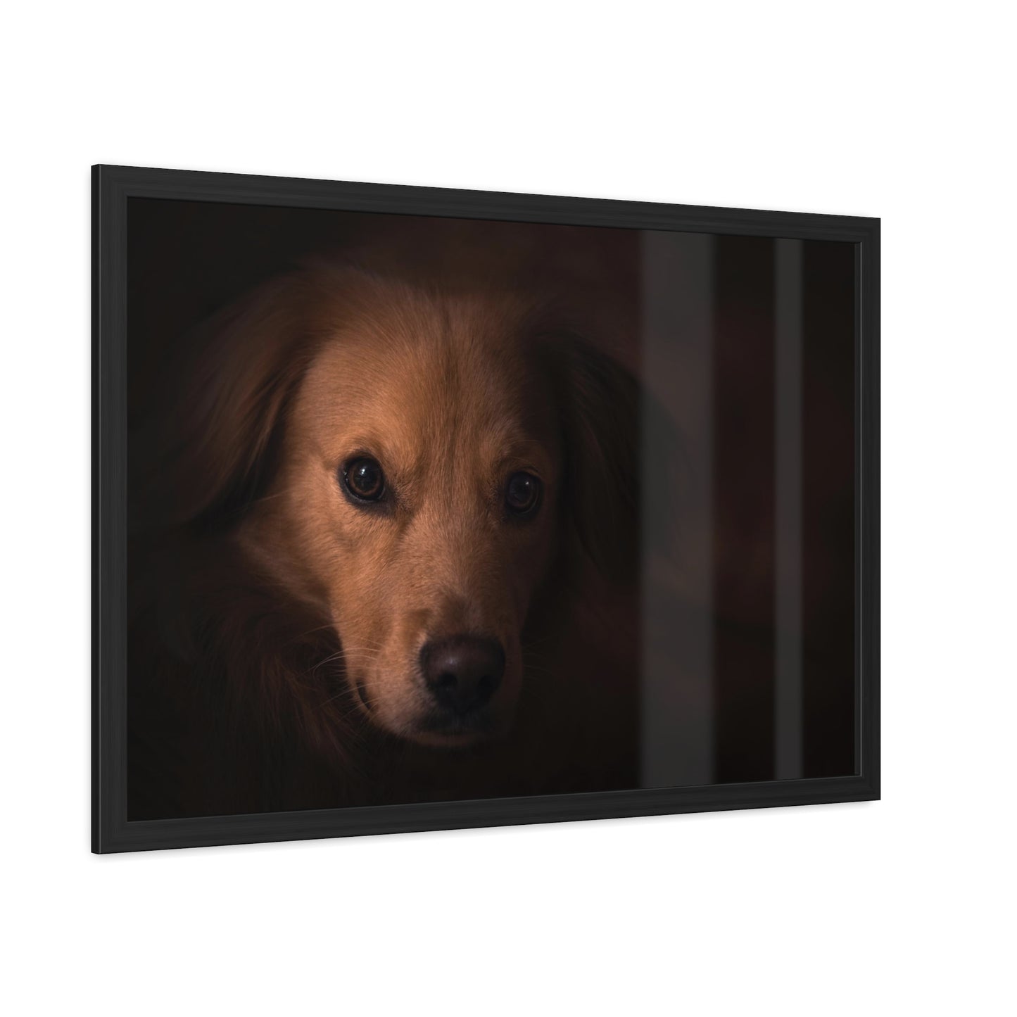One eye dog    Framed Poster, Horizontal (8543794299199)