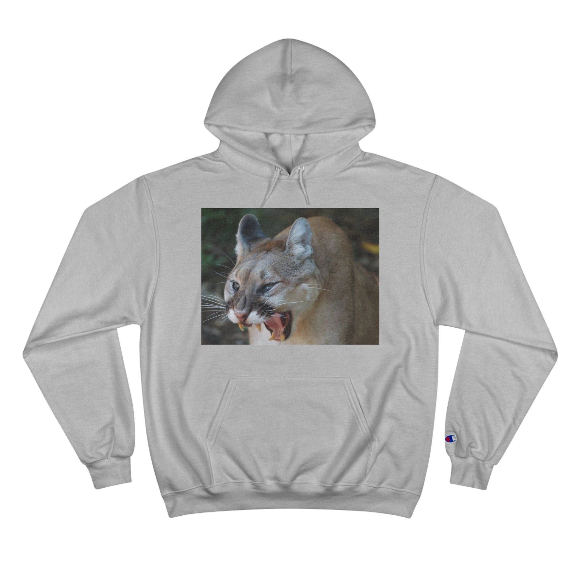 Champion Hoodie (9211149353279)