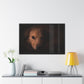 One eye dog    Framed Poster, Horizontal (8543794299199)