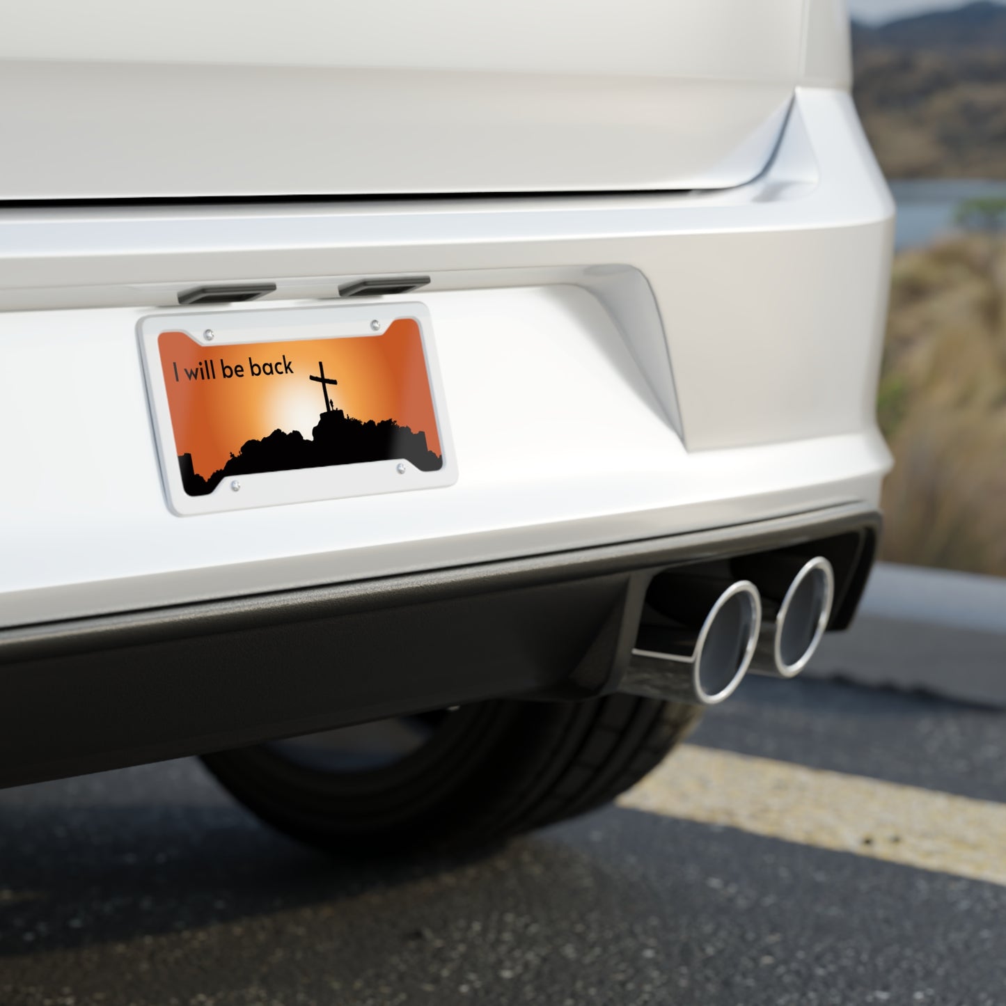 License Plate (9201343332671)