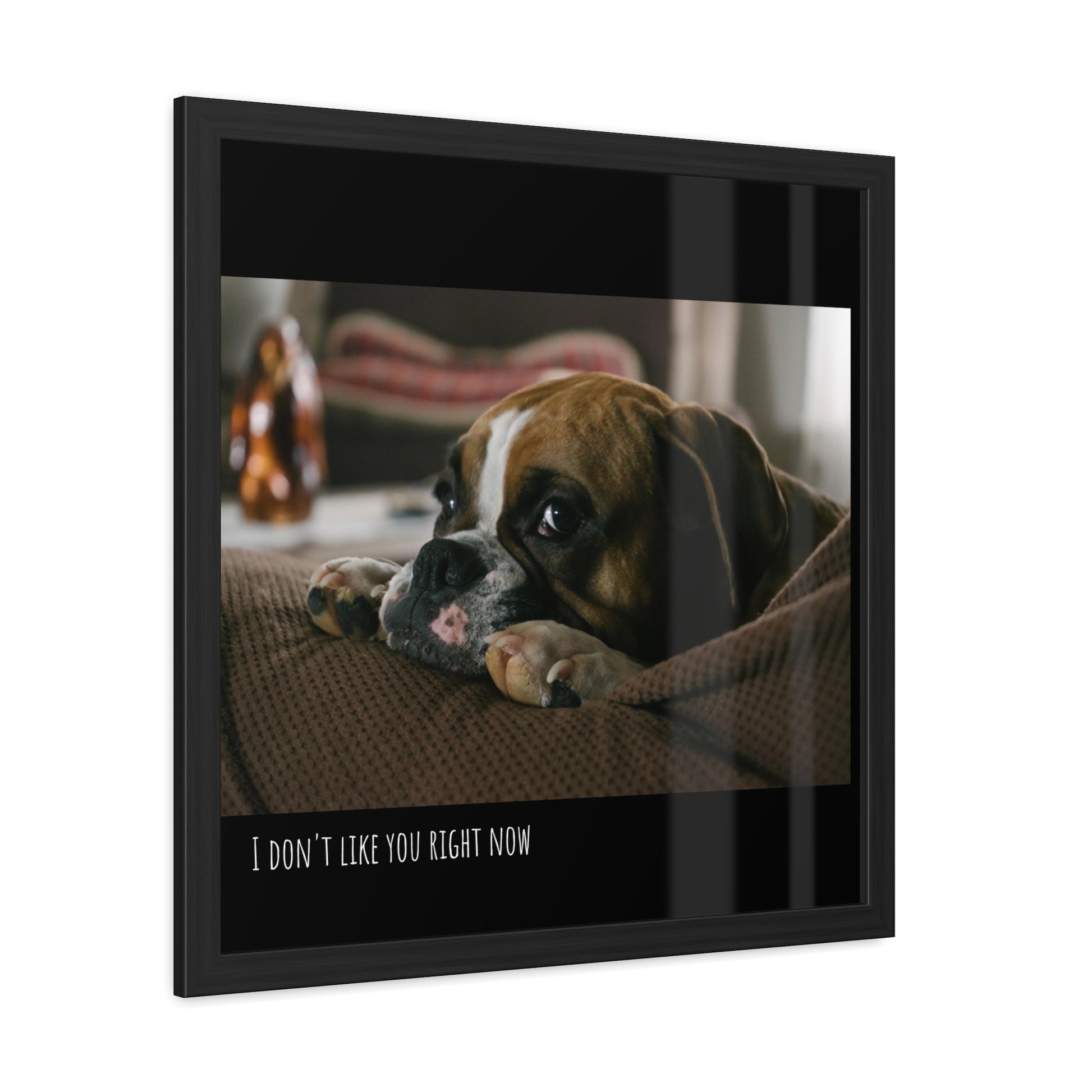 I don't like you     Framed Poster, Horizontal (8543787581759)