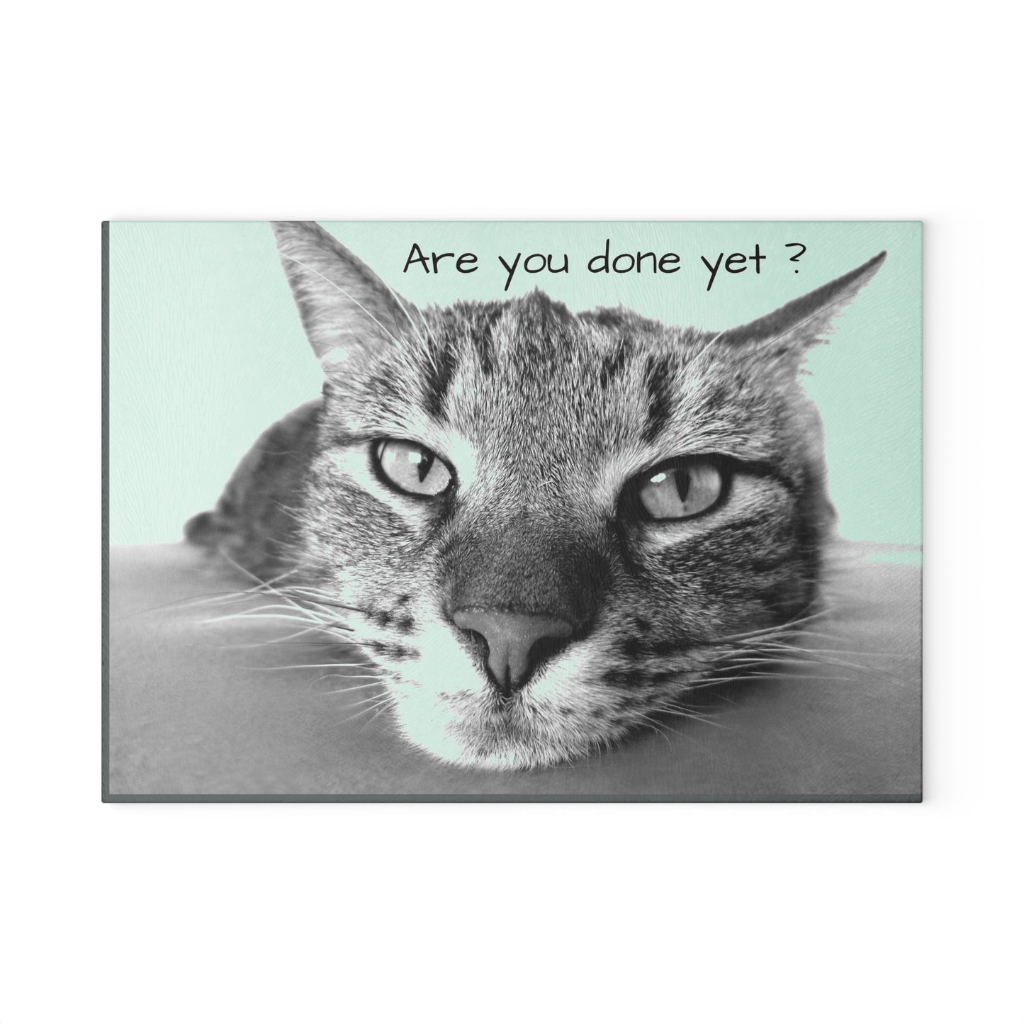 Glass Cutting Board (8927784337727)