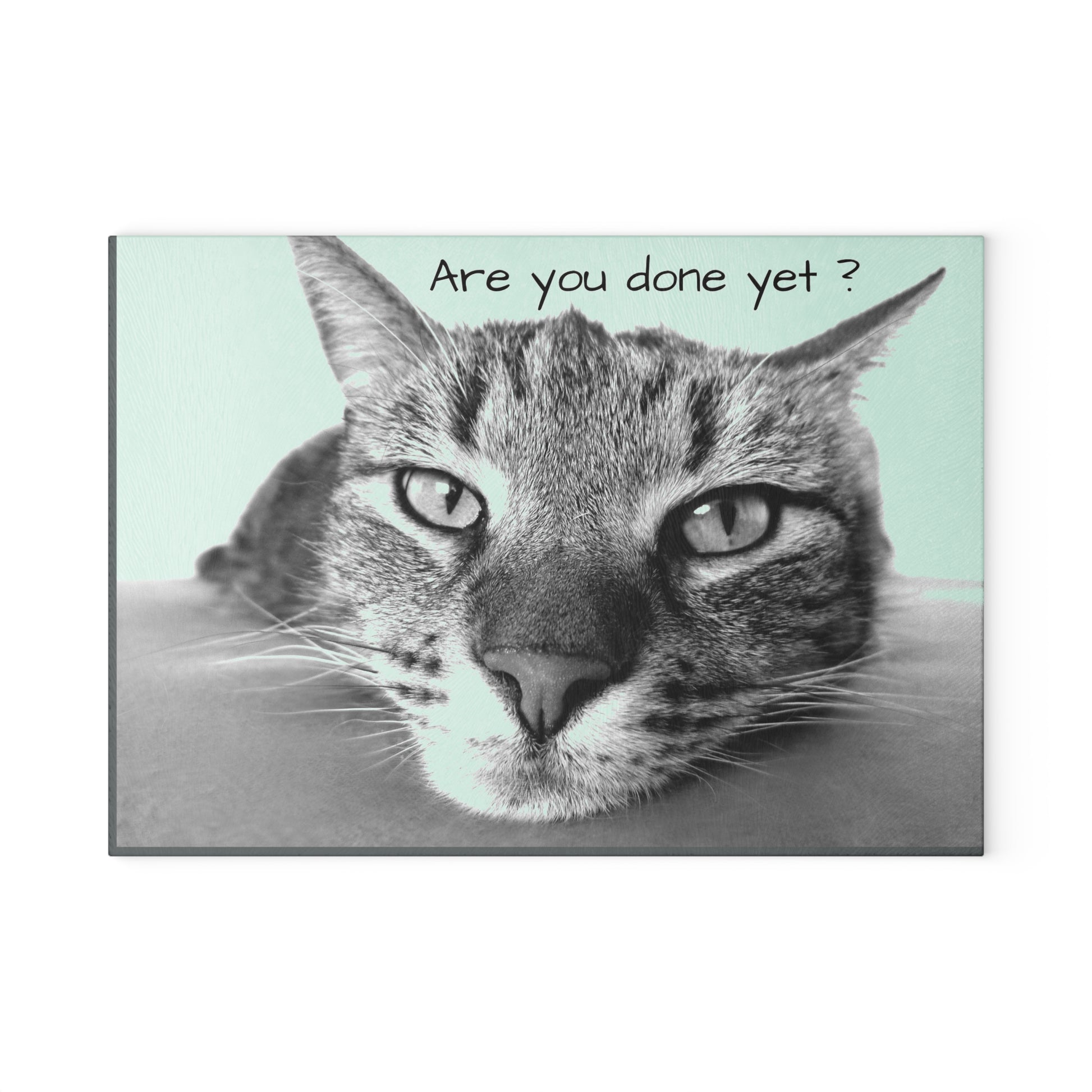 Glass Cutting Board (8927784337727)