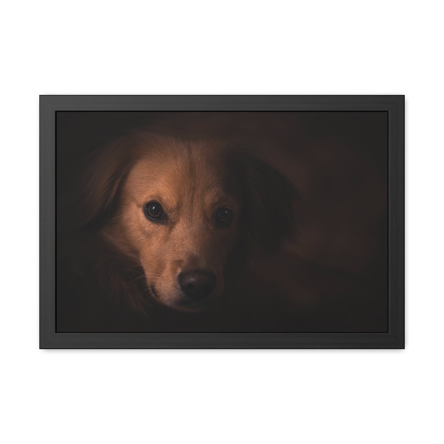 One eye dog    Framed Poster, Horizontal (8543794299199)