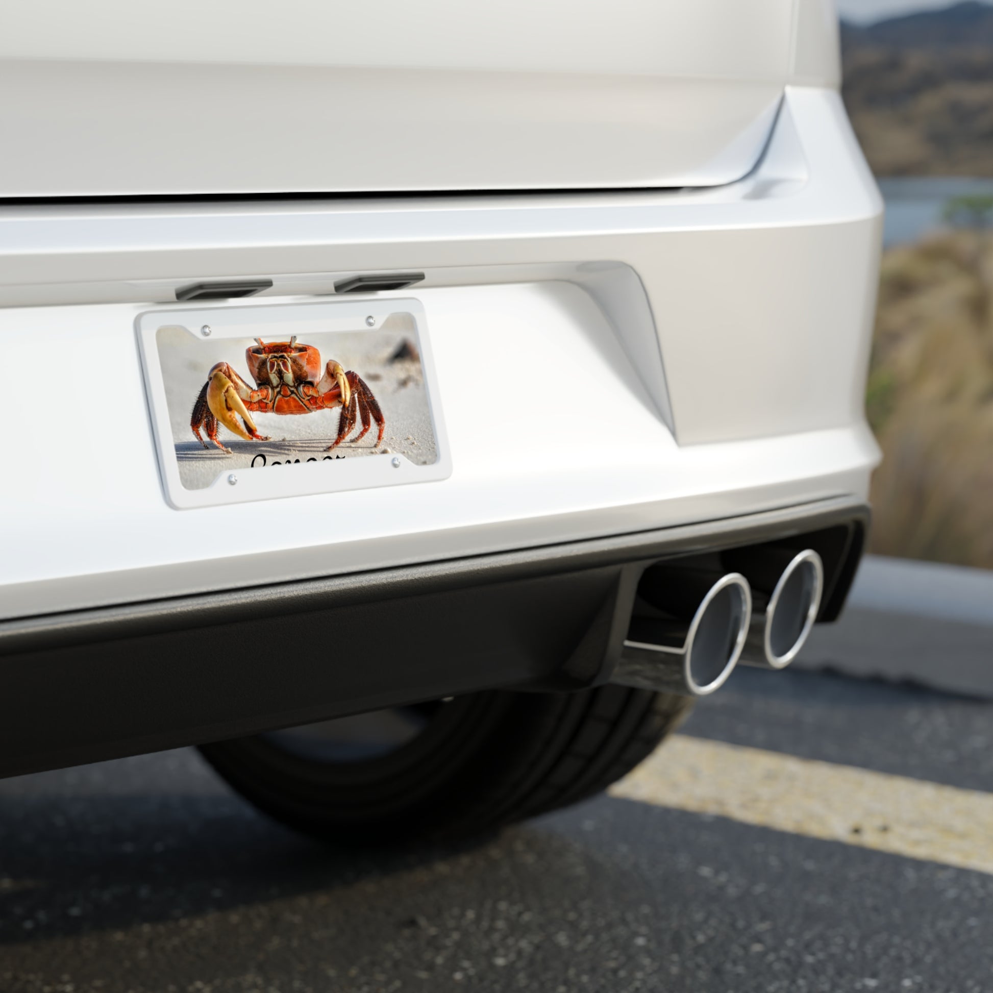 License Plate (9201349591359)