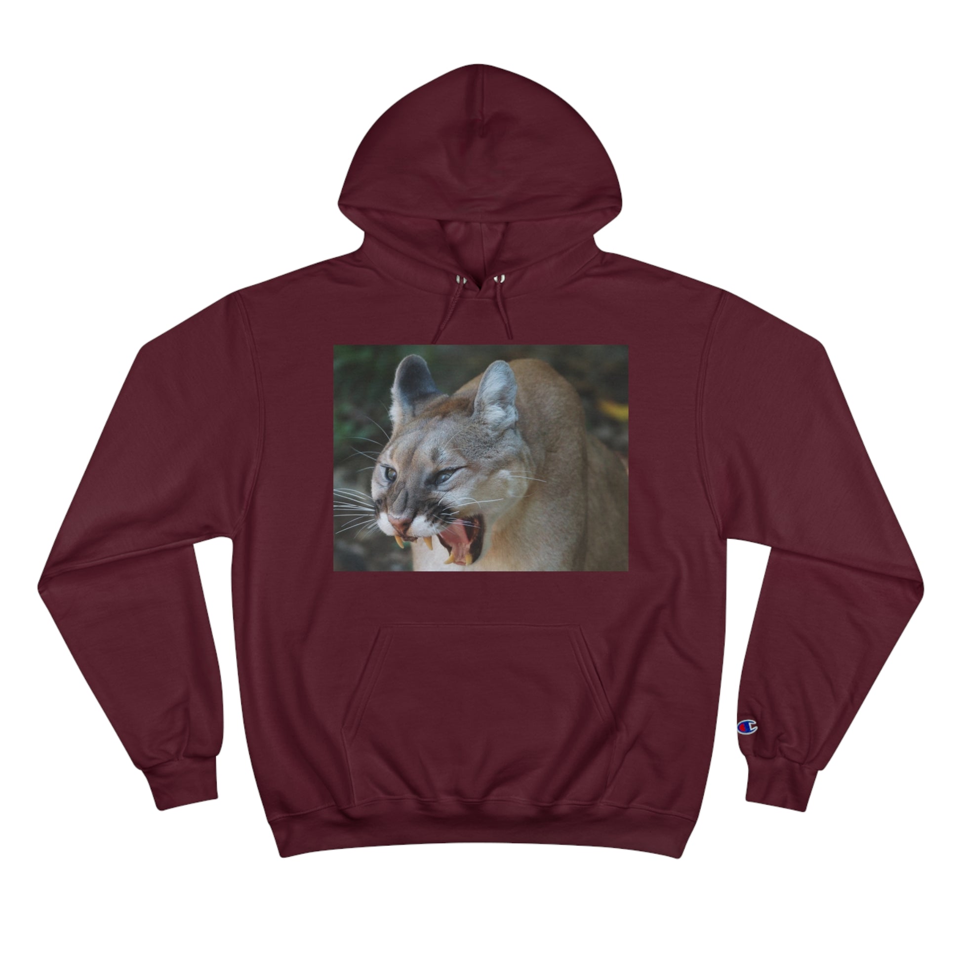 Champion Hoodie (9211149353279)