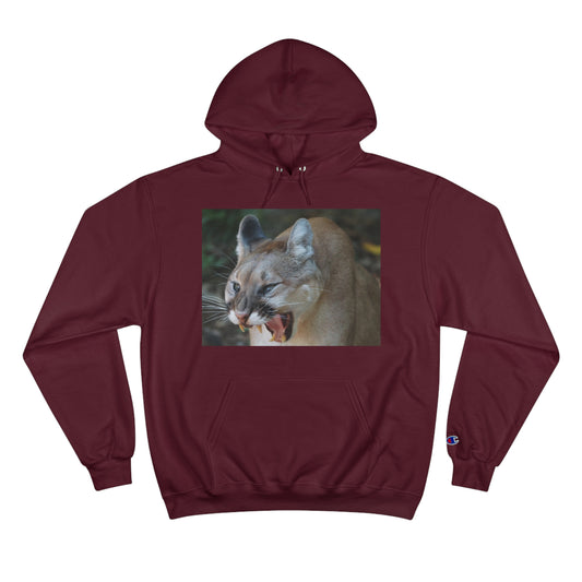 Champion Hoodie (9211149353279)