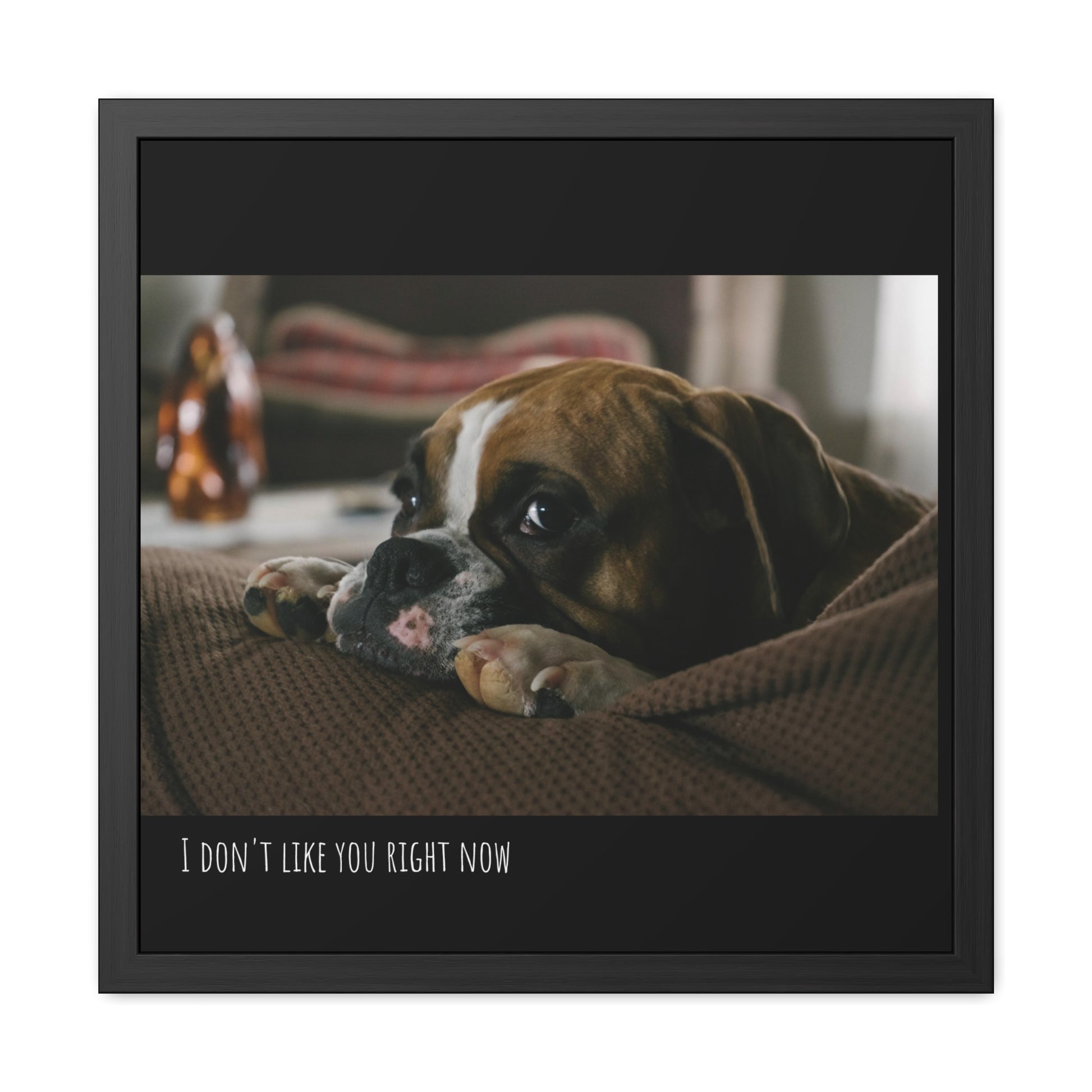 I don't like you     Framed Poster, Horizontal (8543787581759)