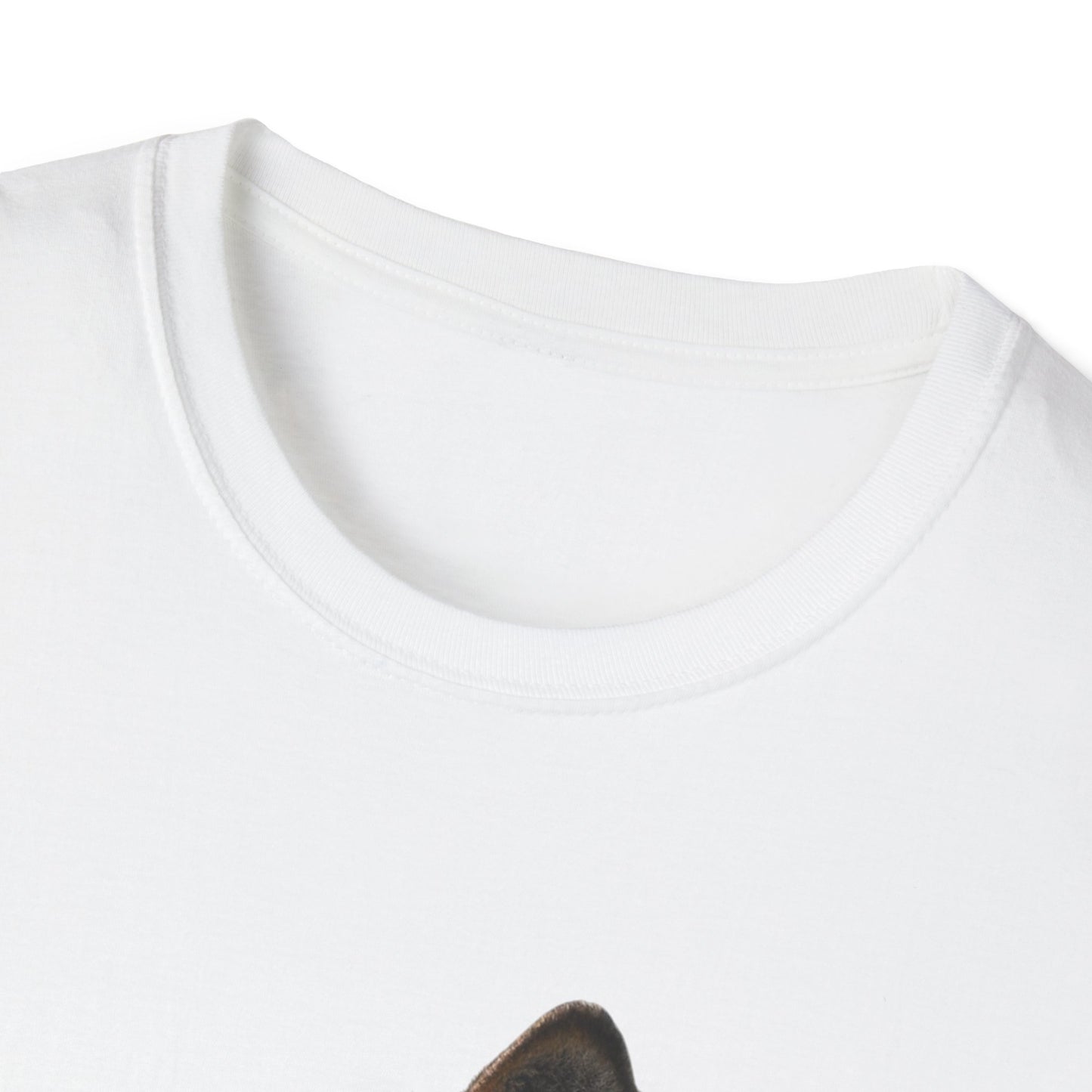 Unisex Softstyle T-Shirt (9186748629311)