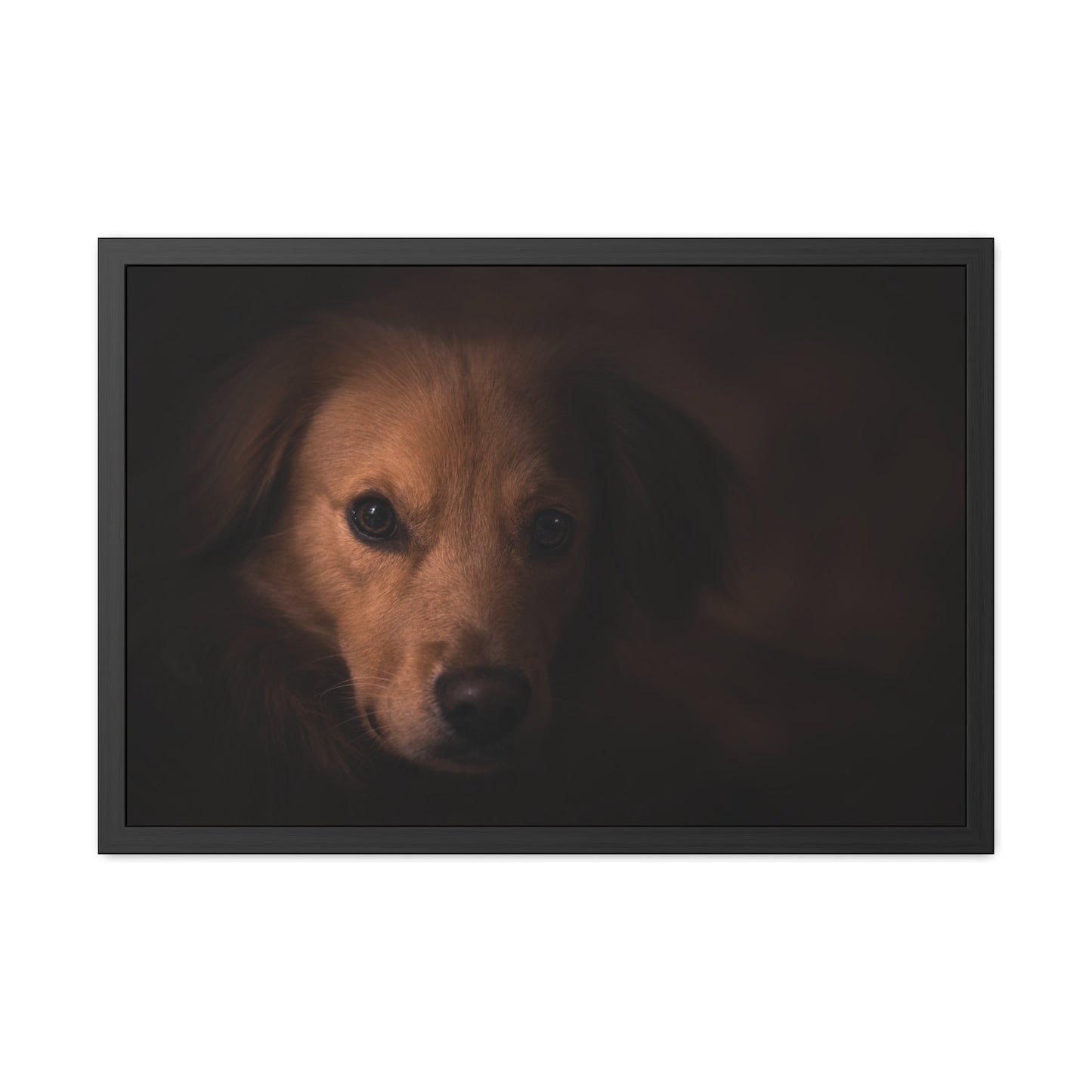 One eye dog    Framed Poster, Horizontal (8543794299199)