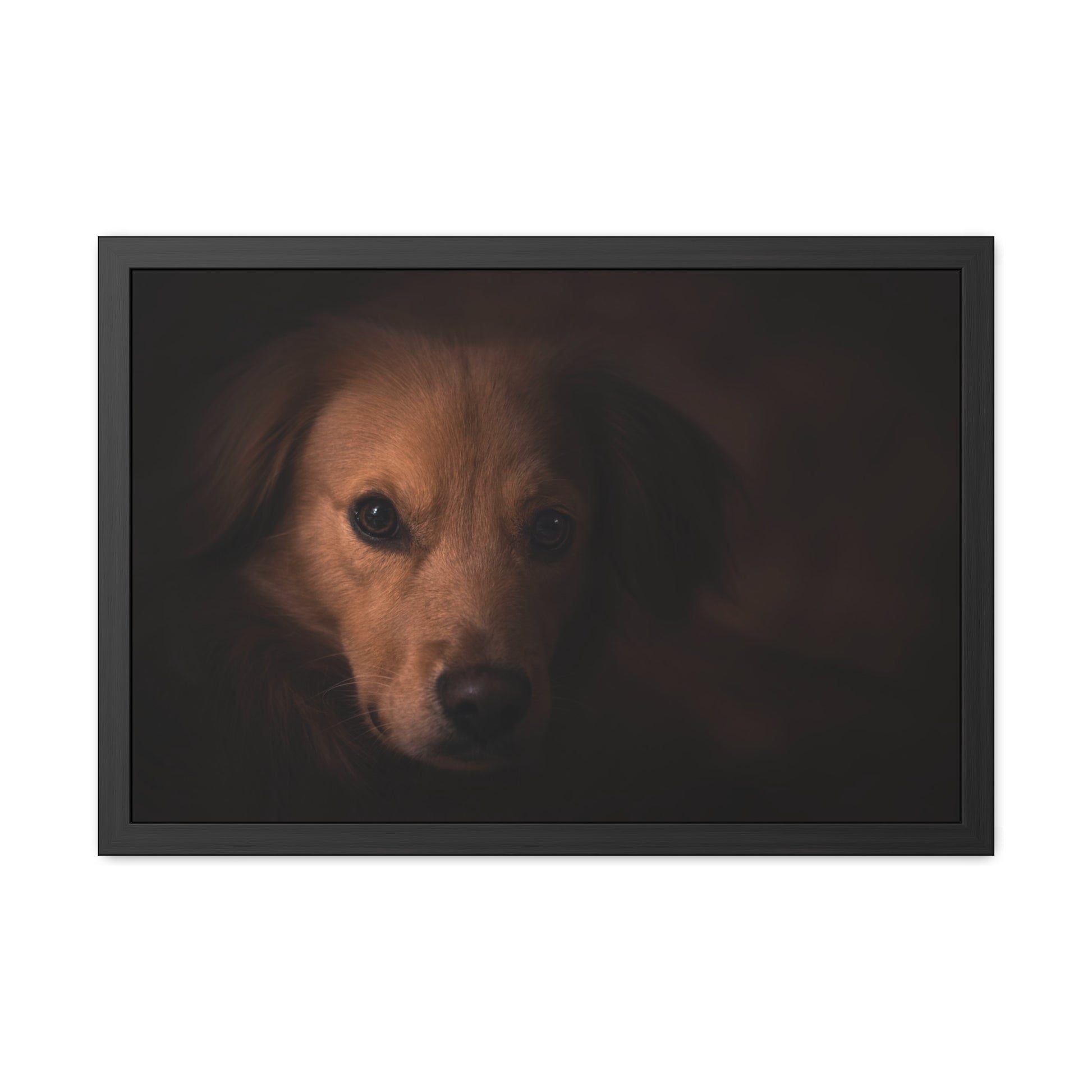 One eye dog    Framed Poster, Horizontal (8543794299199)