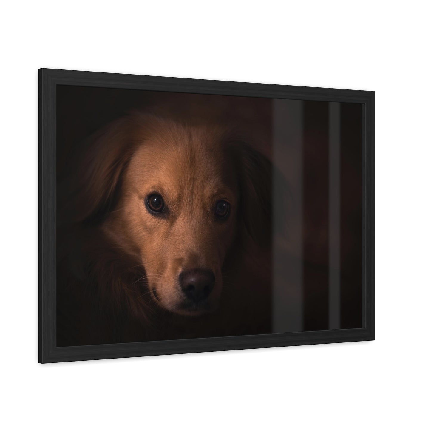 One eye dog    Framed Poster, Horizontal (8543794299199)