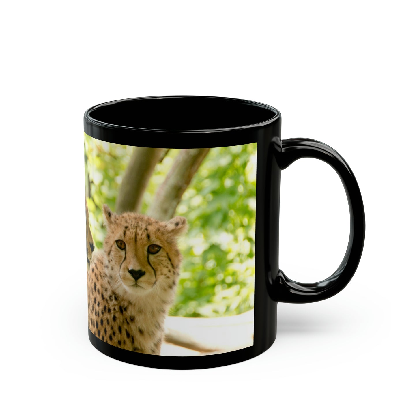 you take the big one ! 11oz Black Mug (8218106691903)