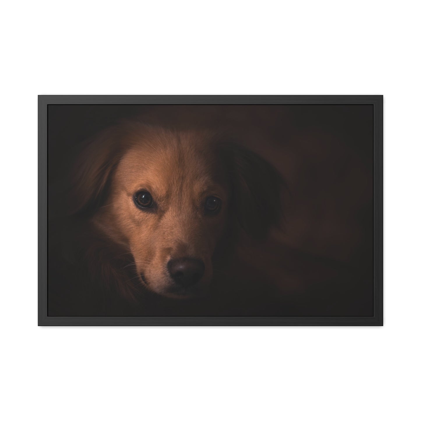 One eye dog    Framed Poster, Horizontal (8543794299199)