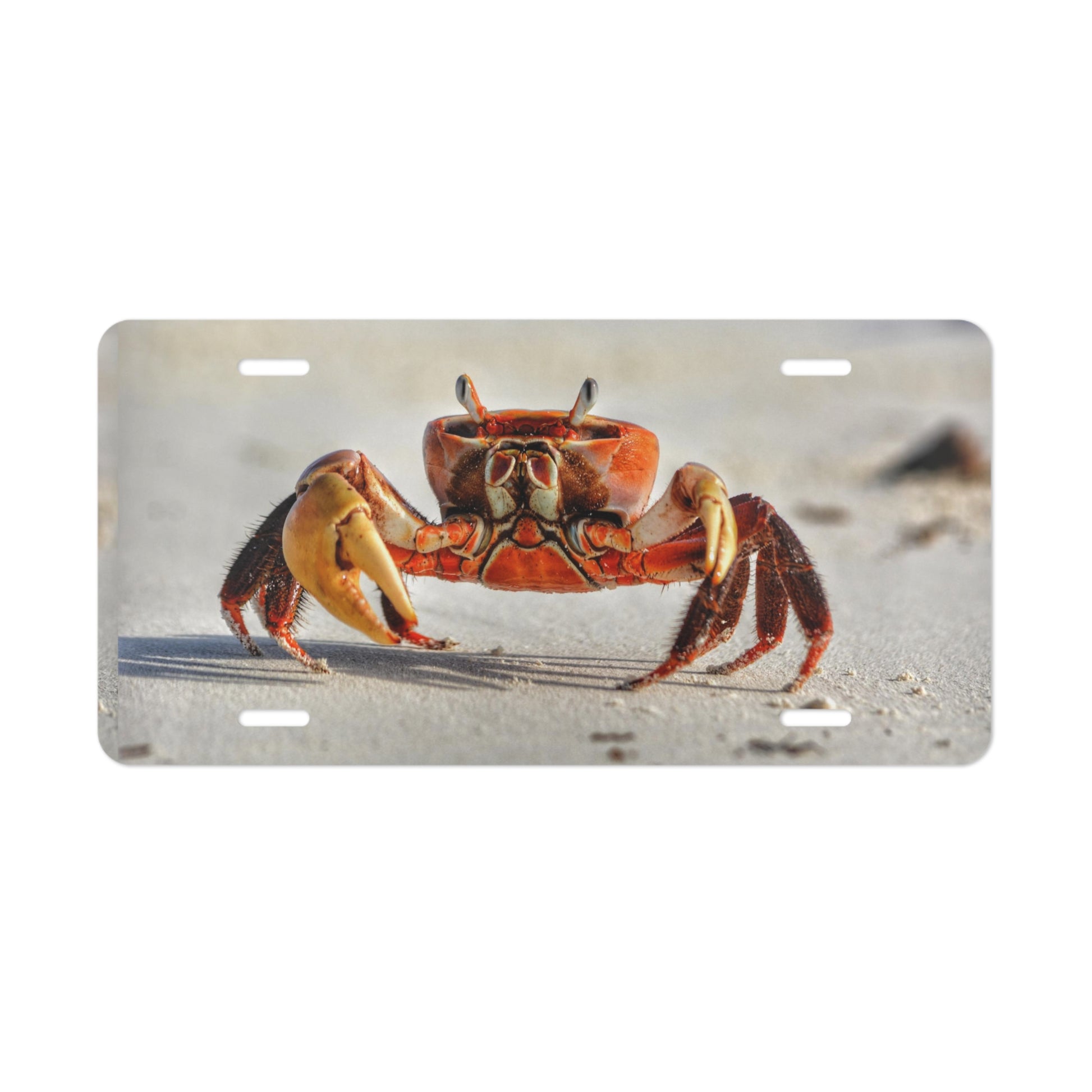 Vanity Plate (9201351098687)