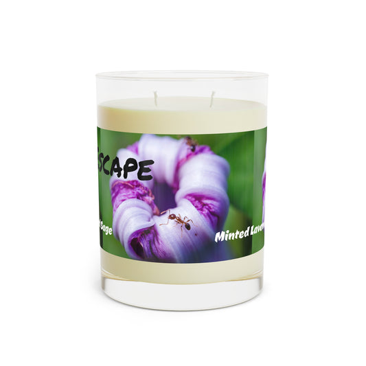 Scented Candle - Full Glass, 11oz (8194513174847)