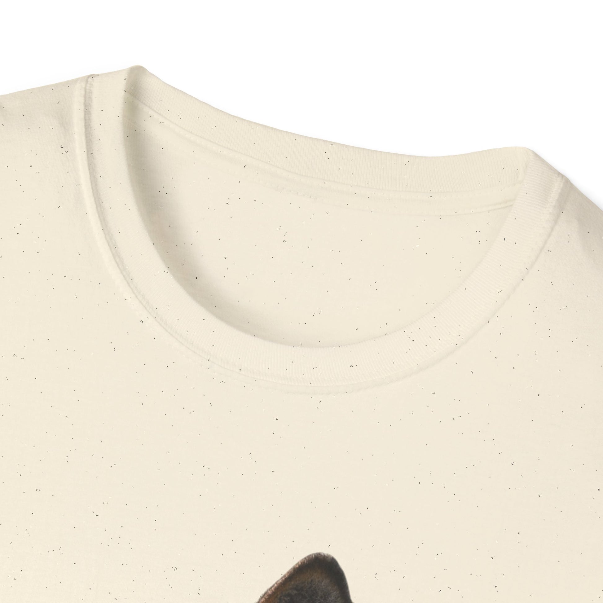 Unisex Softstyle T-Shirt (9186748629311)