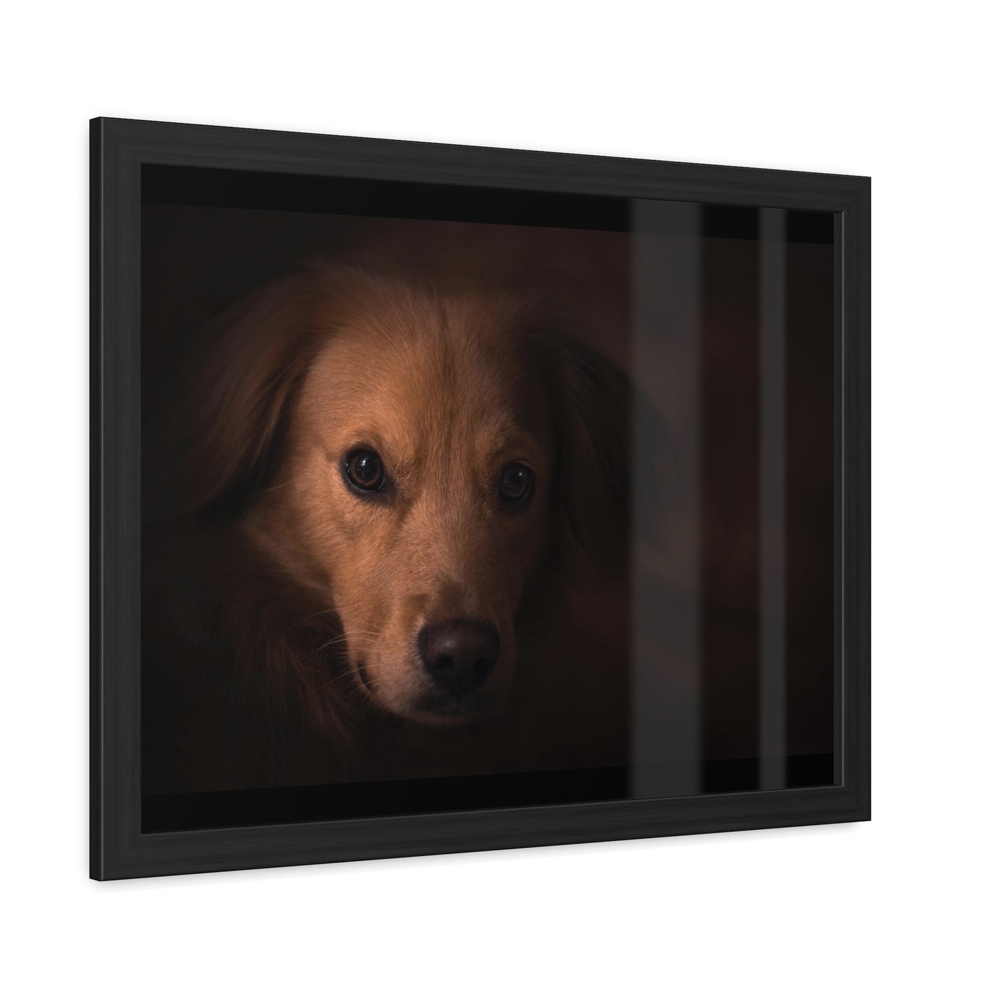One eye dog    Framed Poster, Horizontal (8543794299199)