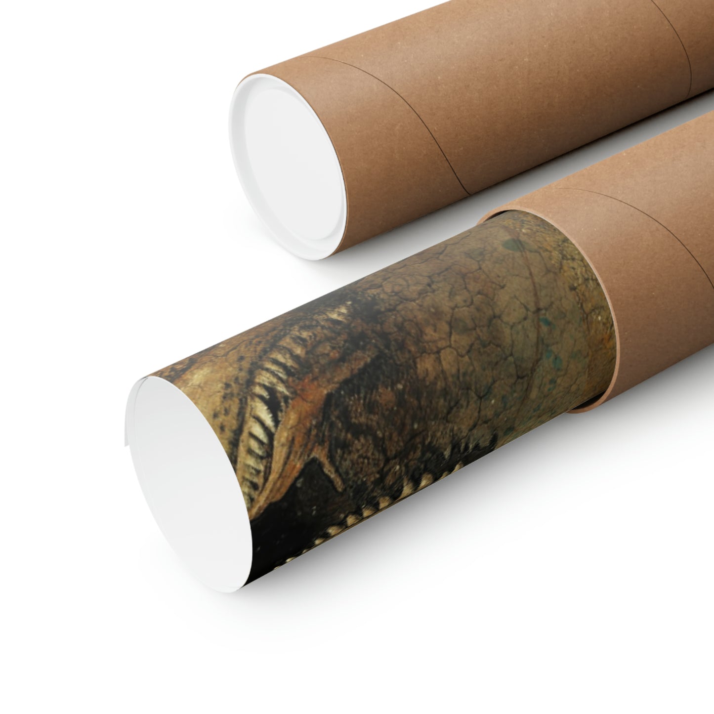 Premium Matte horizontal posters (9201339695423)