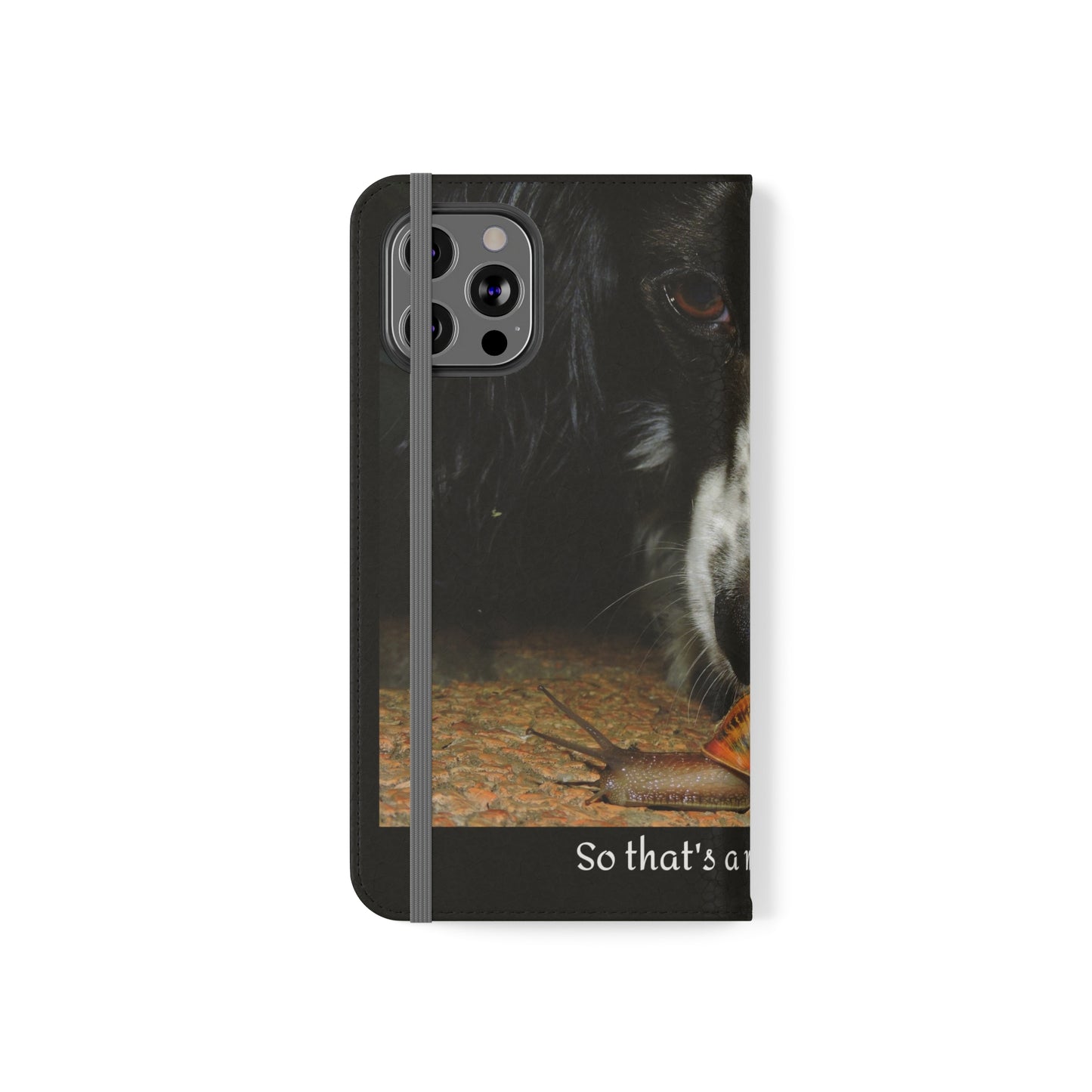 So that's a mobile home   Flip Cases (8541952311615)