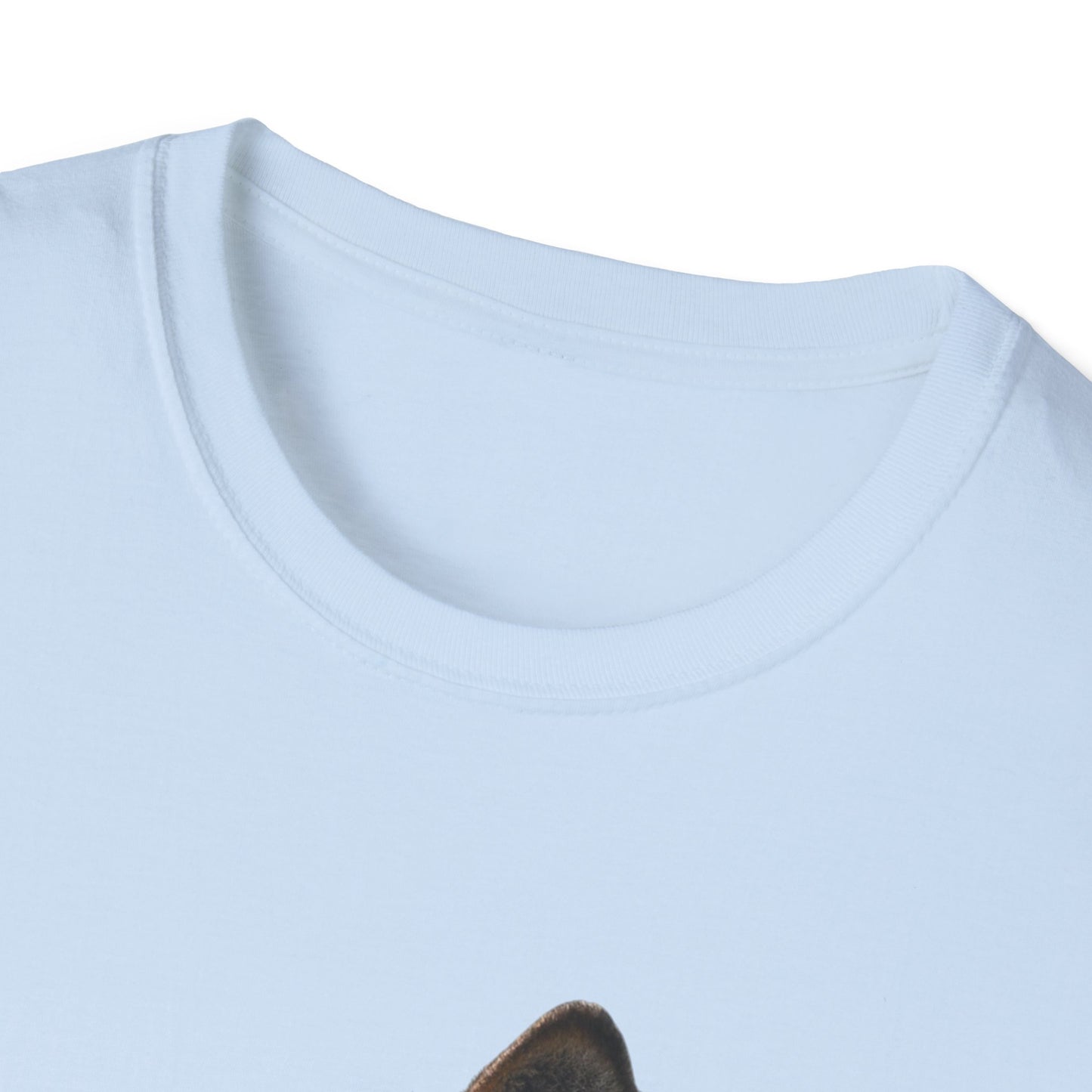 Unisex Softstyle T-Shirt (9186748629311)