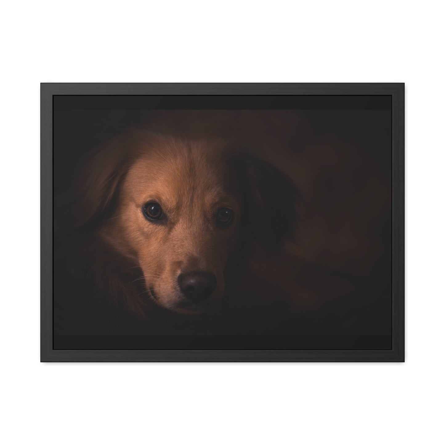 One eye dog    Framed Poster, Horizontal (8543794299199)
