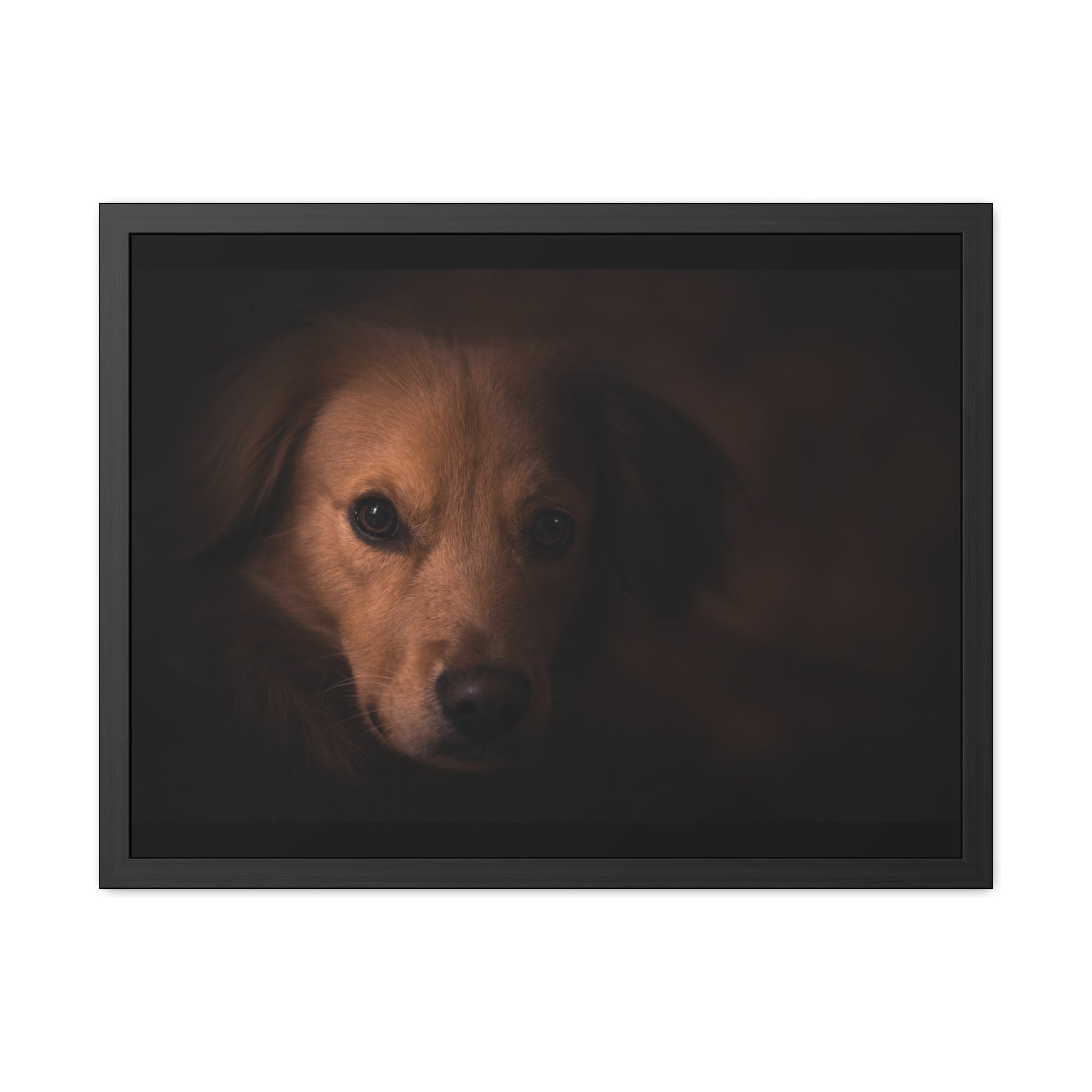 One eye dog    Framed Poster, Horizontal (8543794299199)