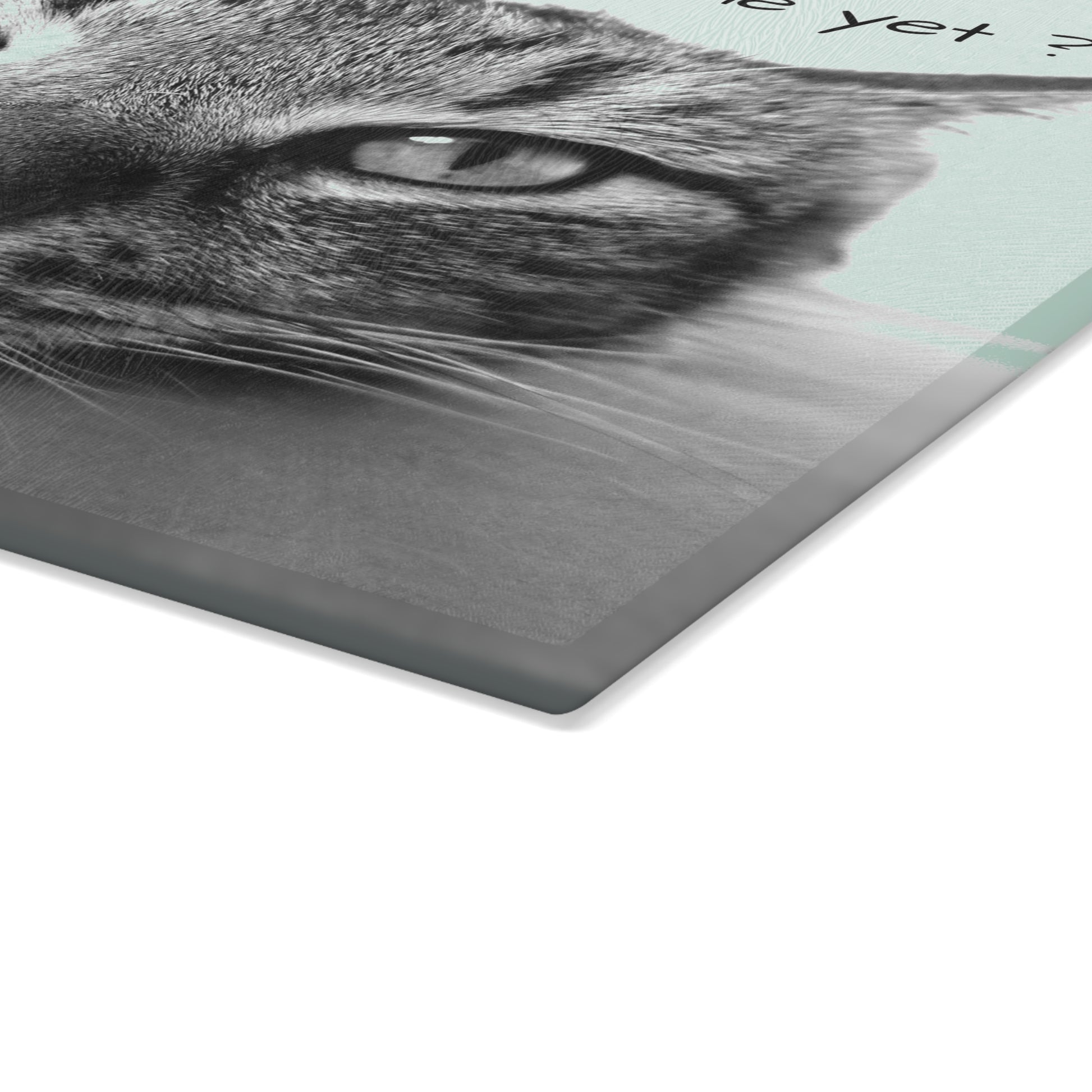 Glass Cutting Board (8927784337727)