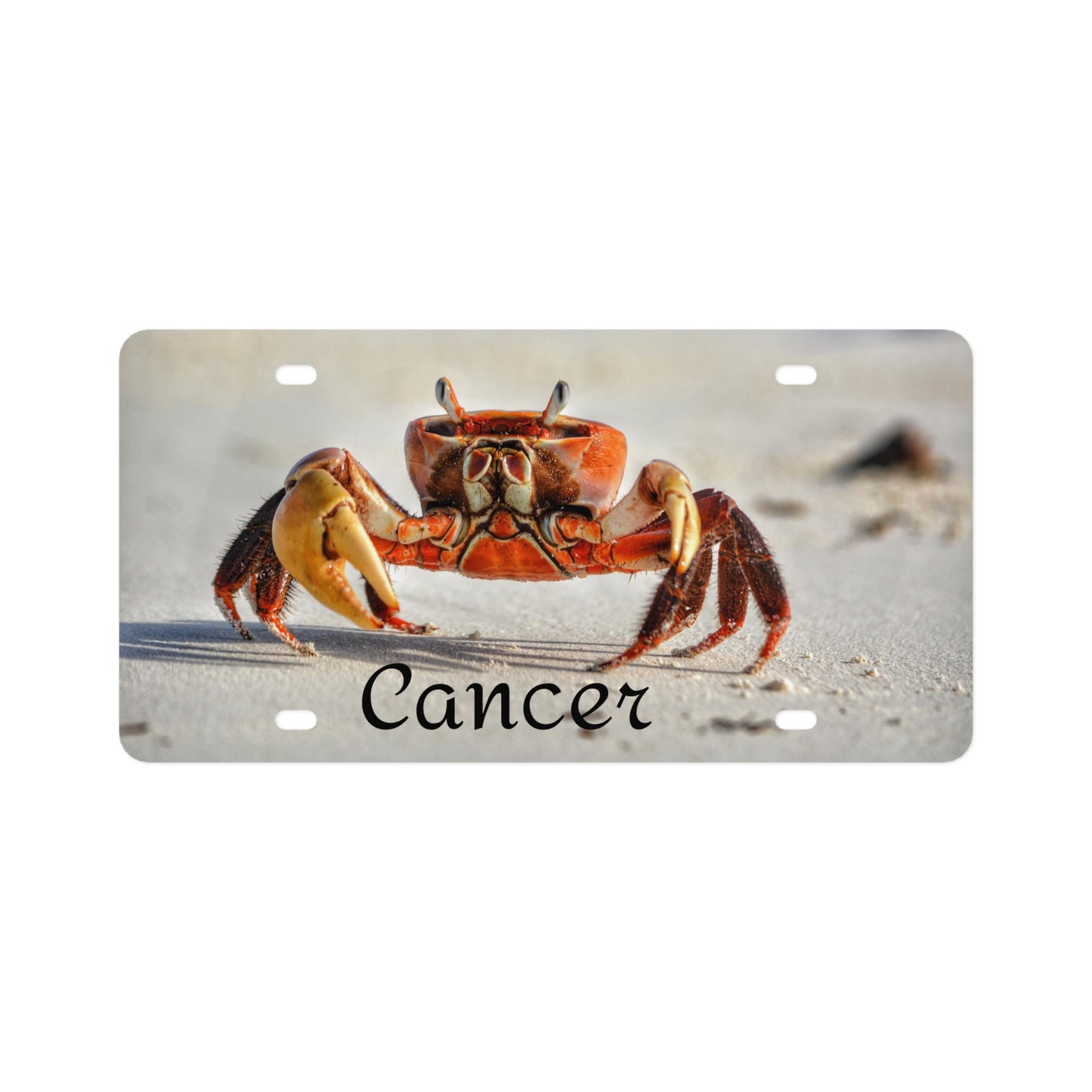 License Plate (9201349591359)