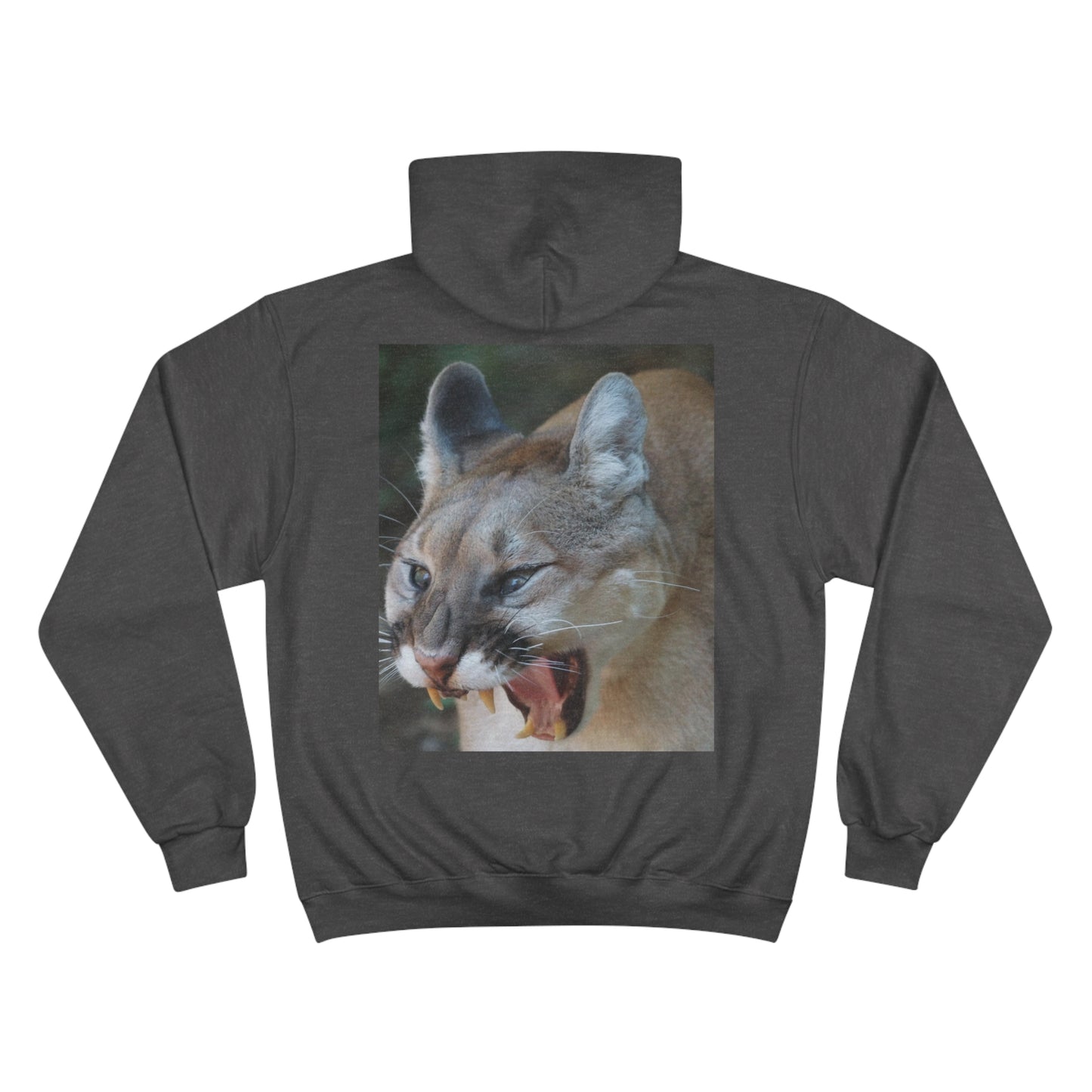 Champion Hoodie (9211149353279)