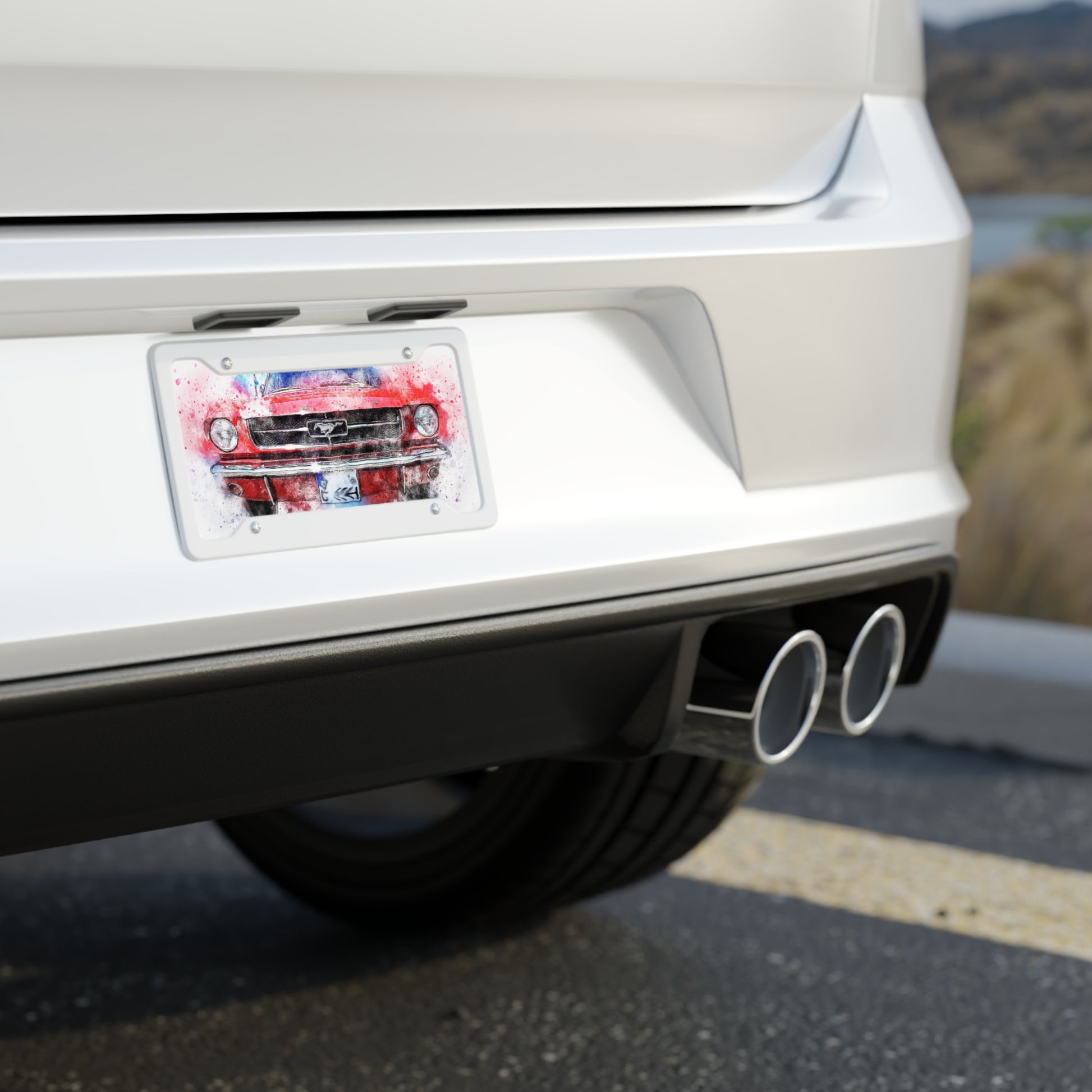 License Plate (9201345823039)