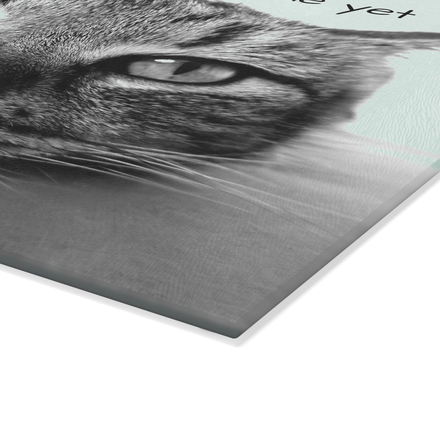 Glass Cutting Board (8927784337727)