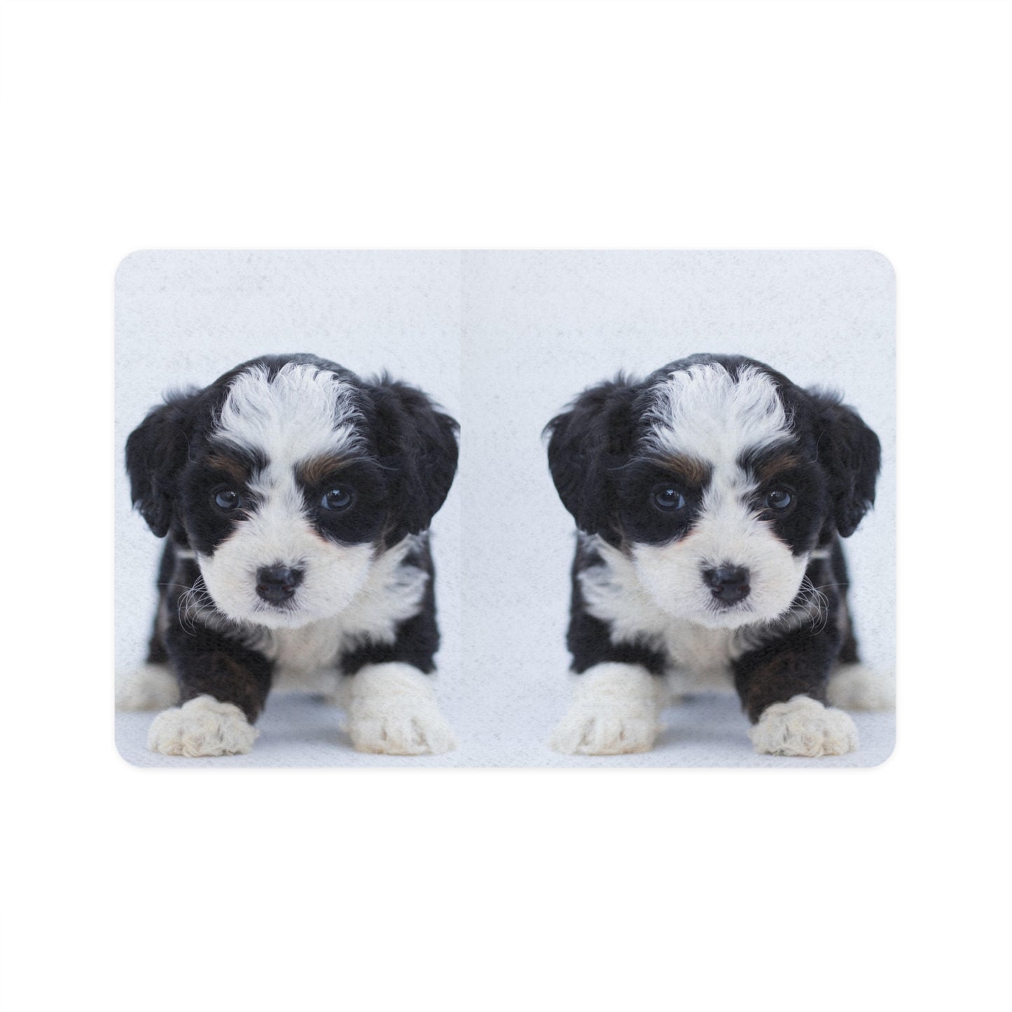 Pet Food Mat (12x18)  Black and white pup (8534815473983)