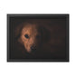 One eye dog    Framed Poster, Horizontal (8543794299199)