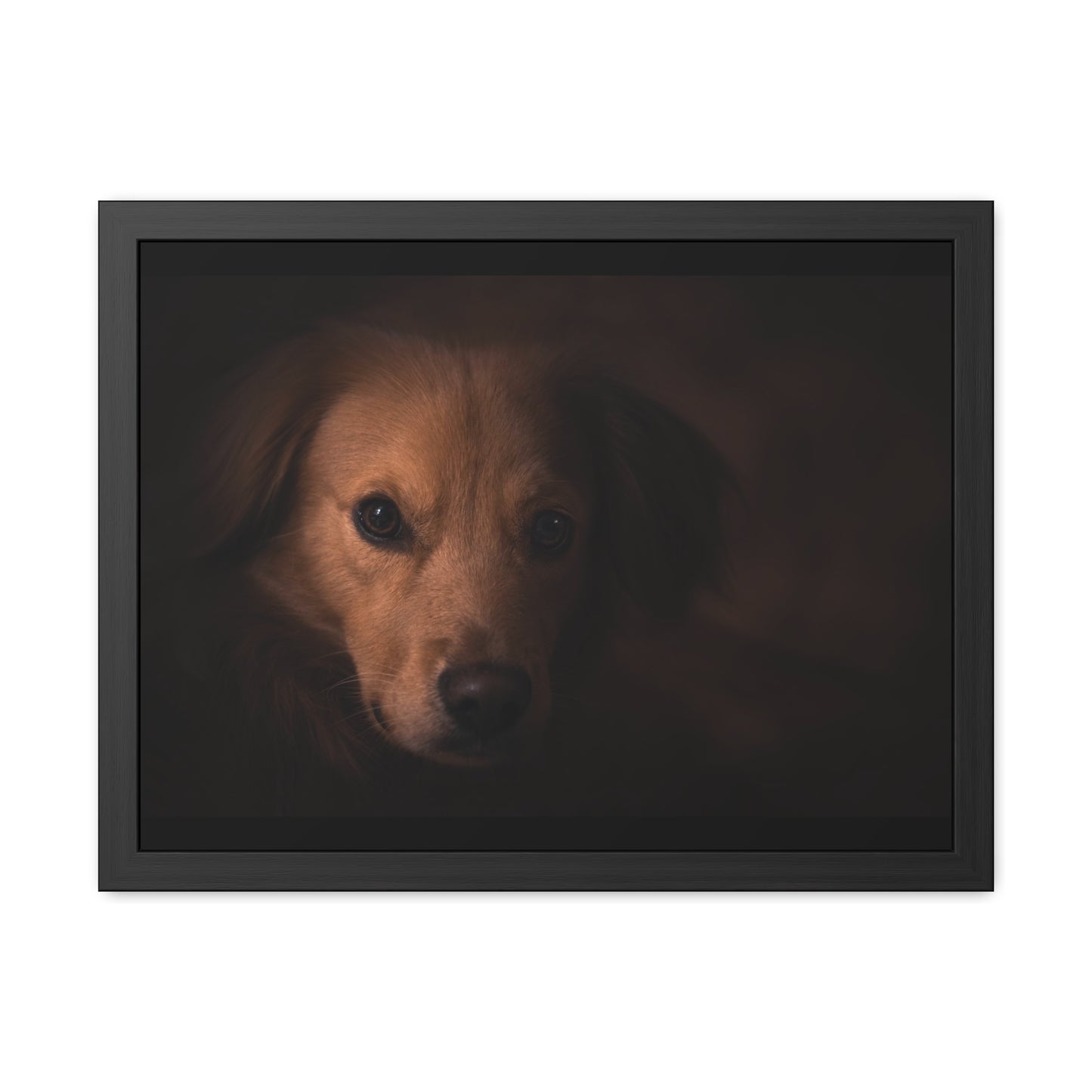 One eye dog    Framed Poster, Horizontal (8543794299199)