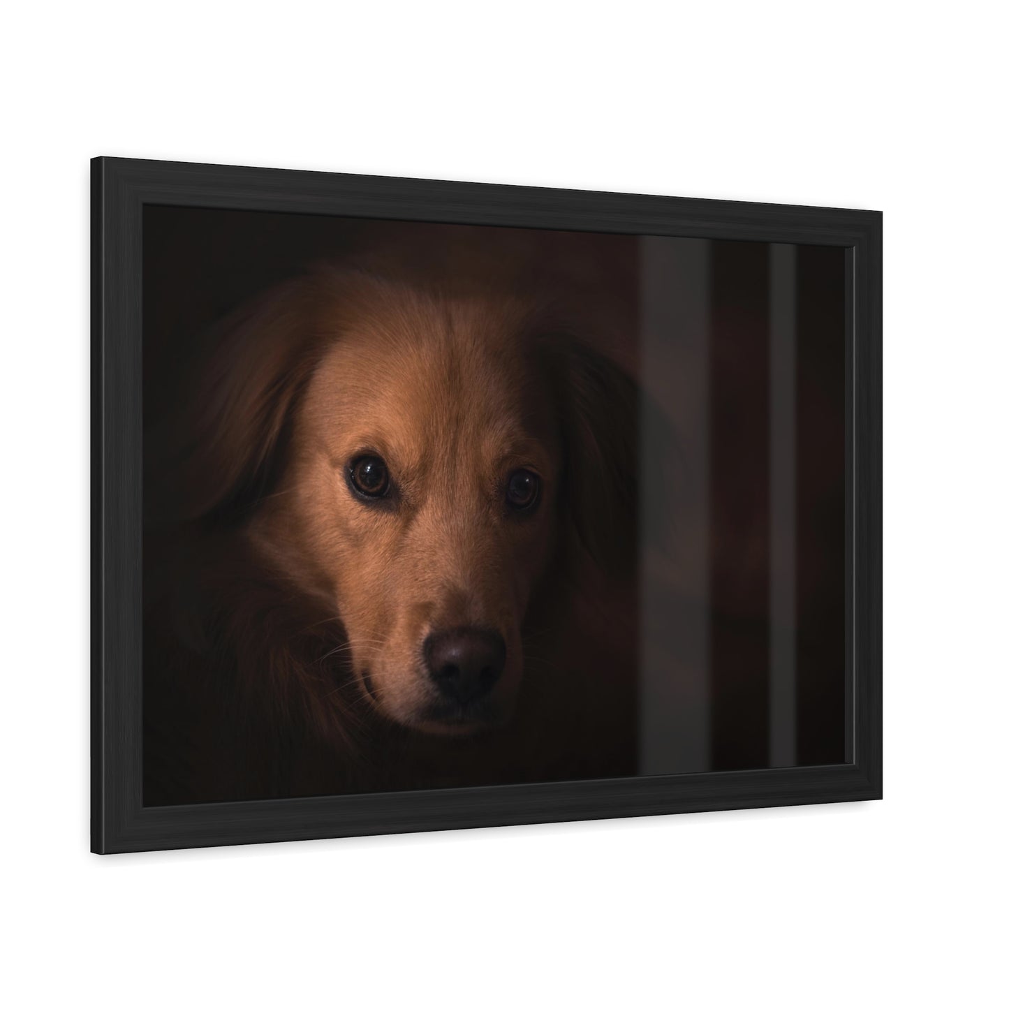 One eye dog    Framed Poster, Horizontal (8543794299199)