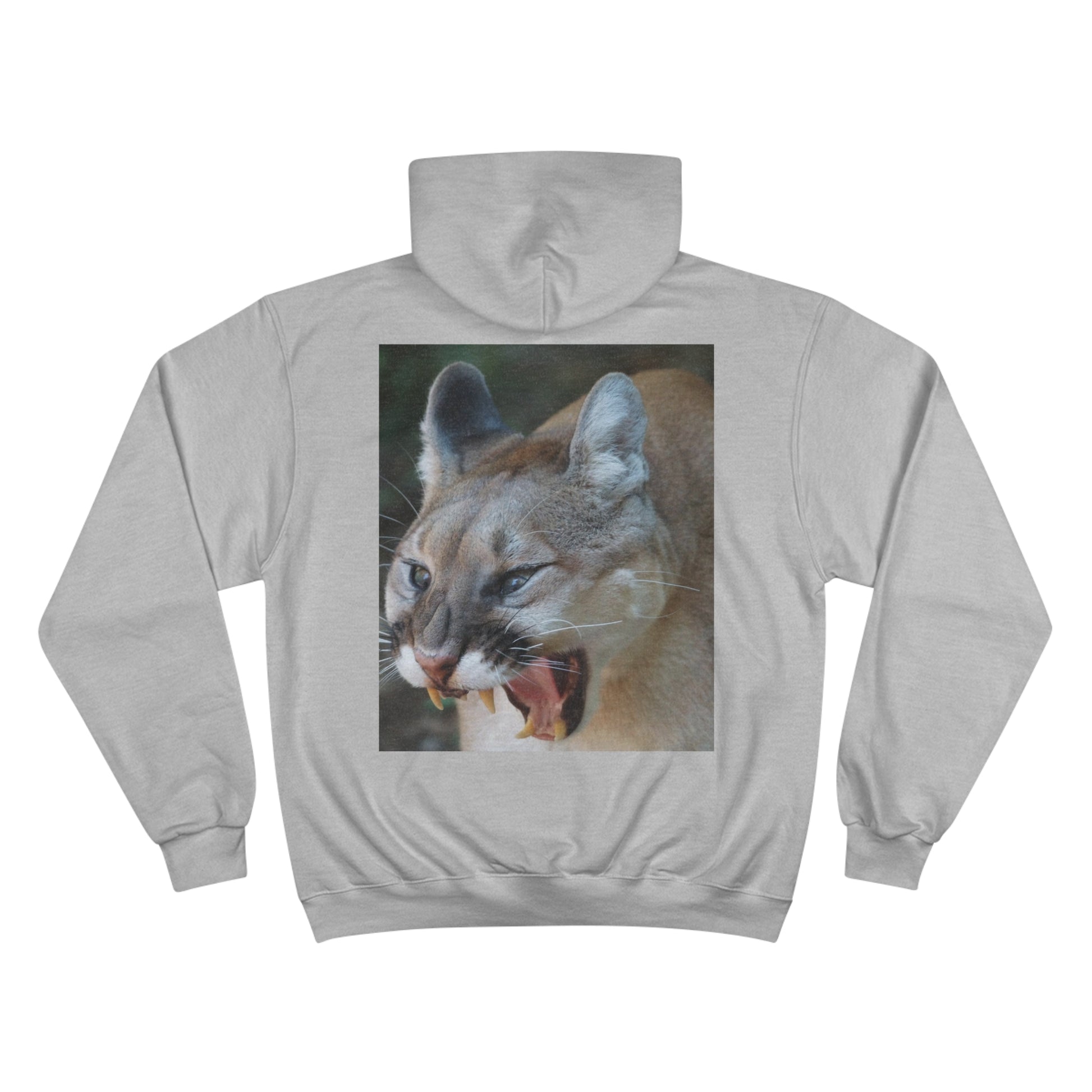 Champion Hoodie (9211149353279)