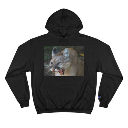 Champion Hoodie (9211149353279)