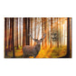 Elk and Cougar    Area Rugs (8543831195967)