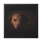 One eye dog    Framed Poster, Horizontal (8543794299199)
