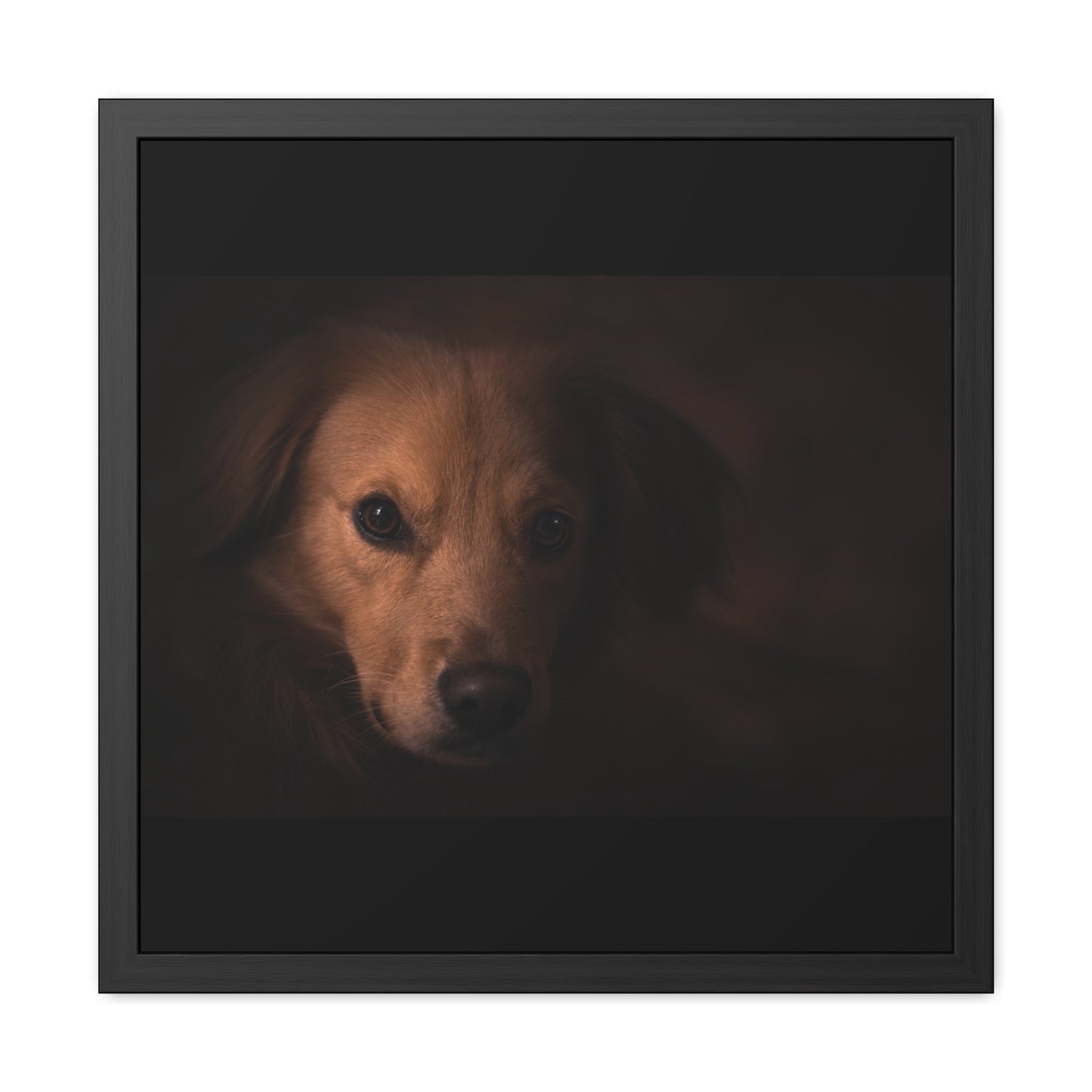 One eye dog    Framed Poster, Horizontal (8543794299199)