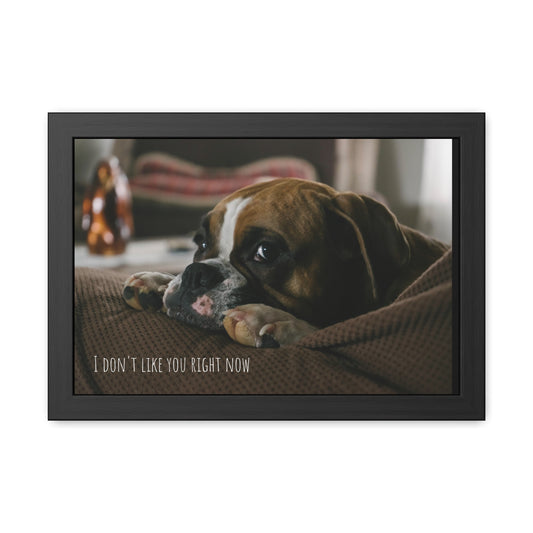 I don't like you     Framed Poster, Horizontal (8543787581759)